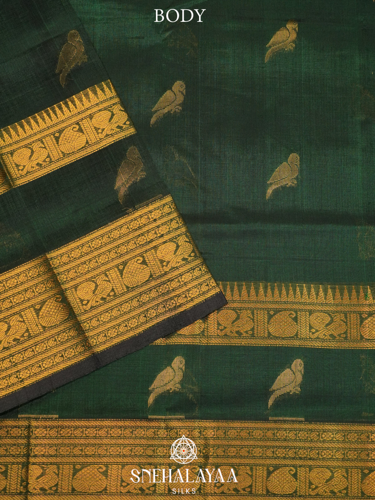 Forest Kanchi Silk Cotton Saree