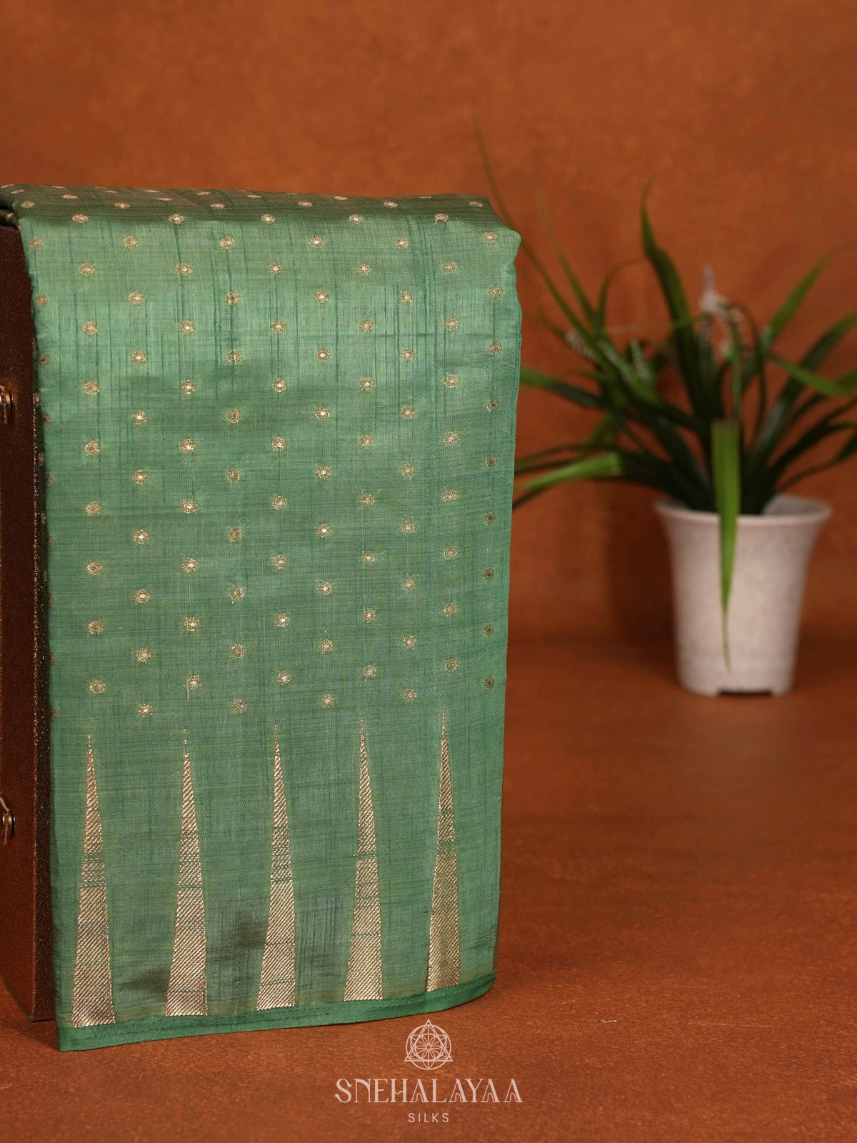 Pale Green Raw Silk Saree