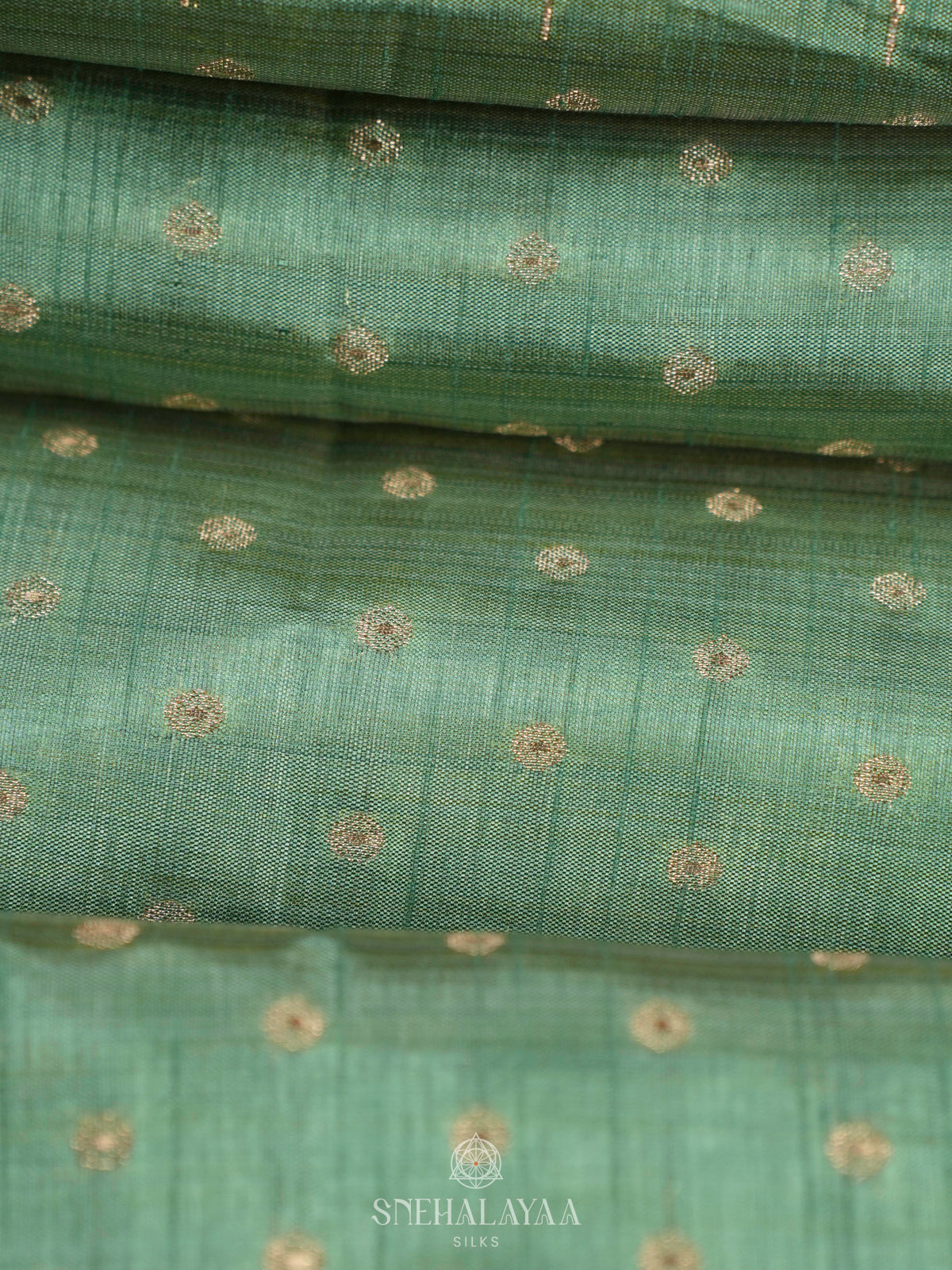 Pale Green Raw Silk Saree