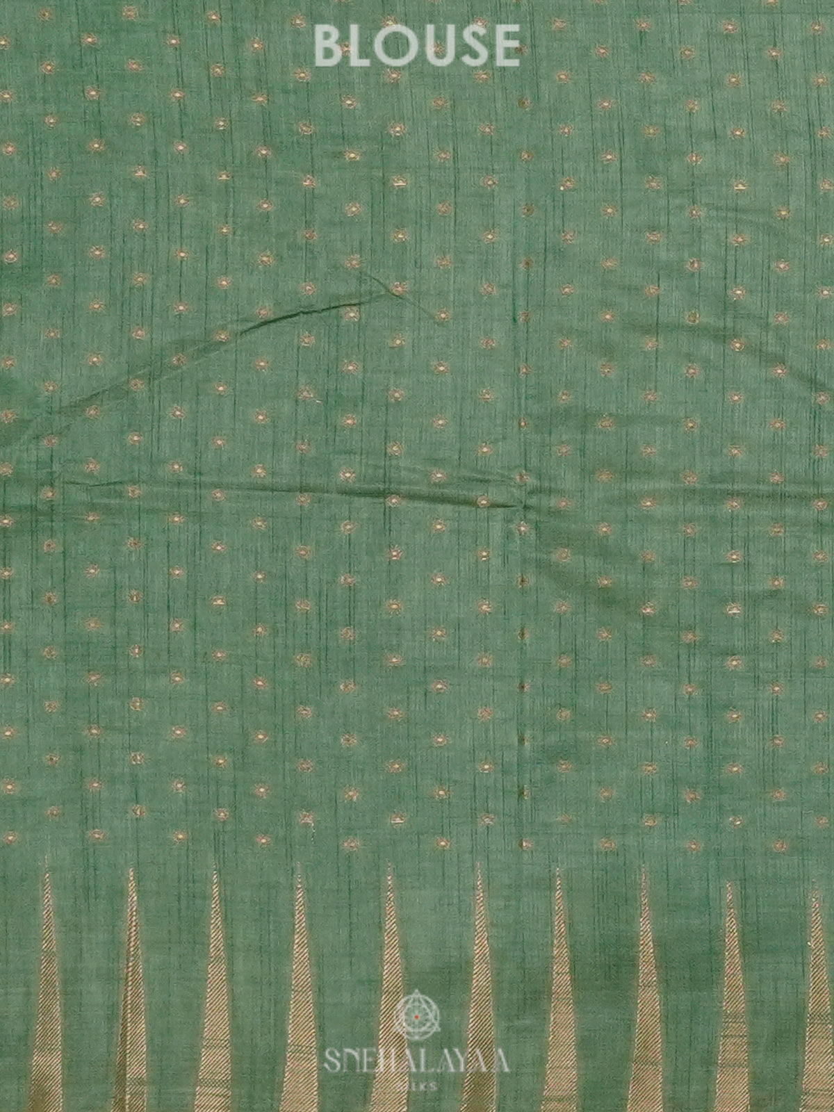 Pale Green Raw Silk Saree