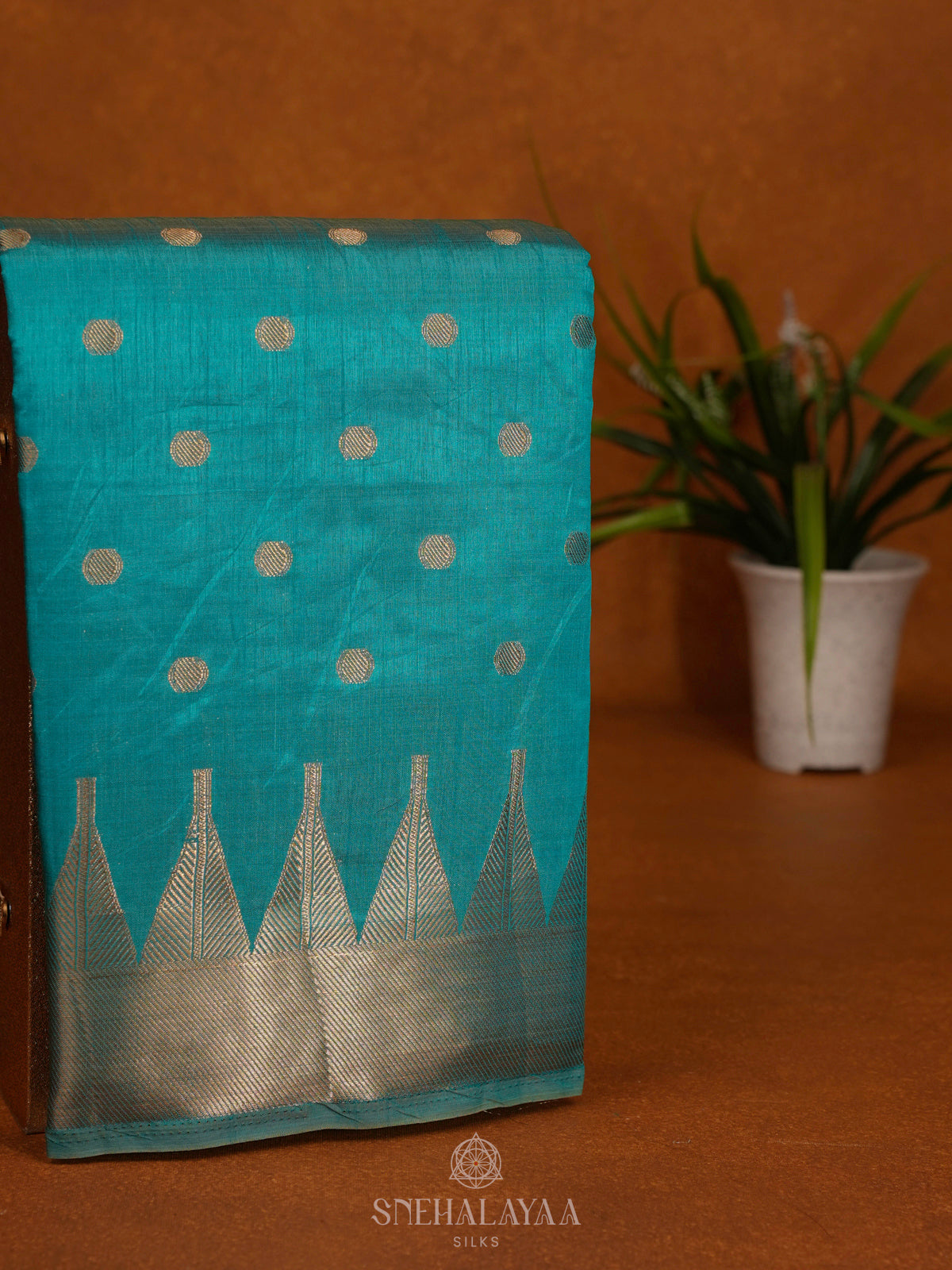 Blue Raw Silk Saree