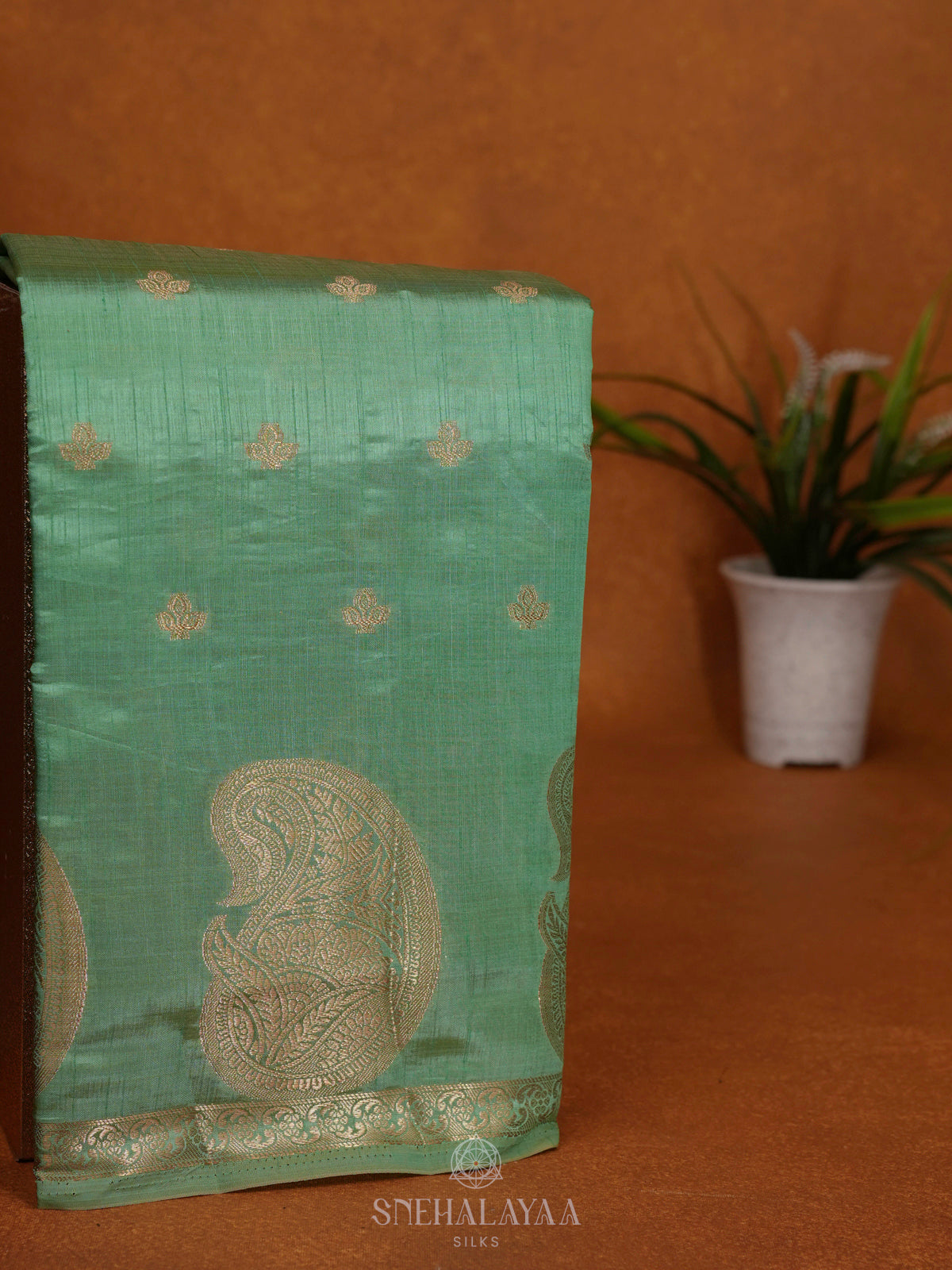 Mint Green Raw Silk Saree