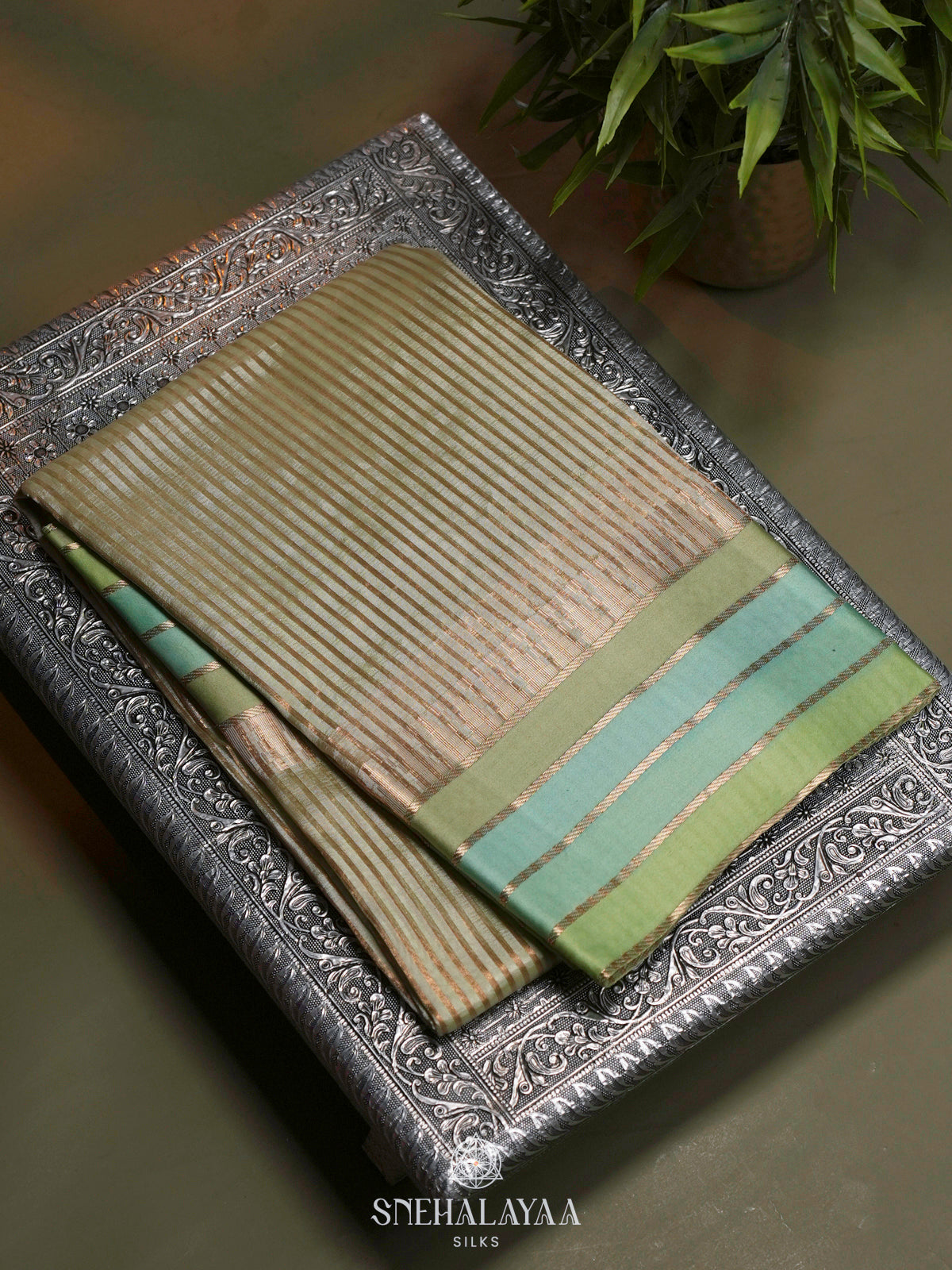 Pale Green Organza Saree