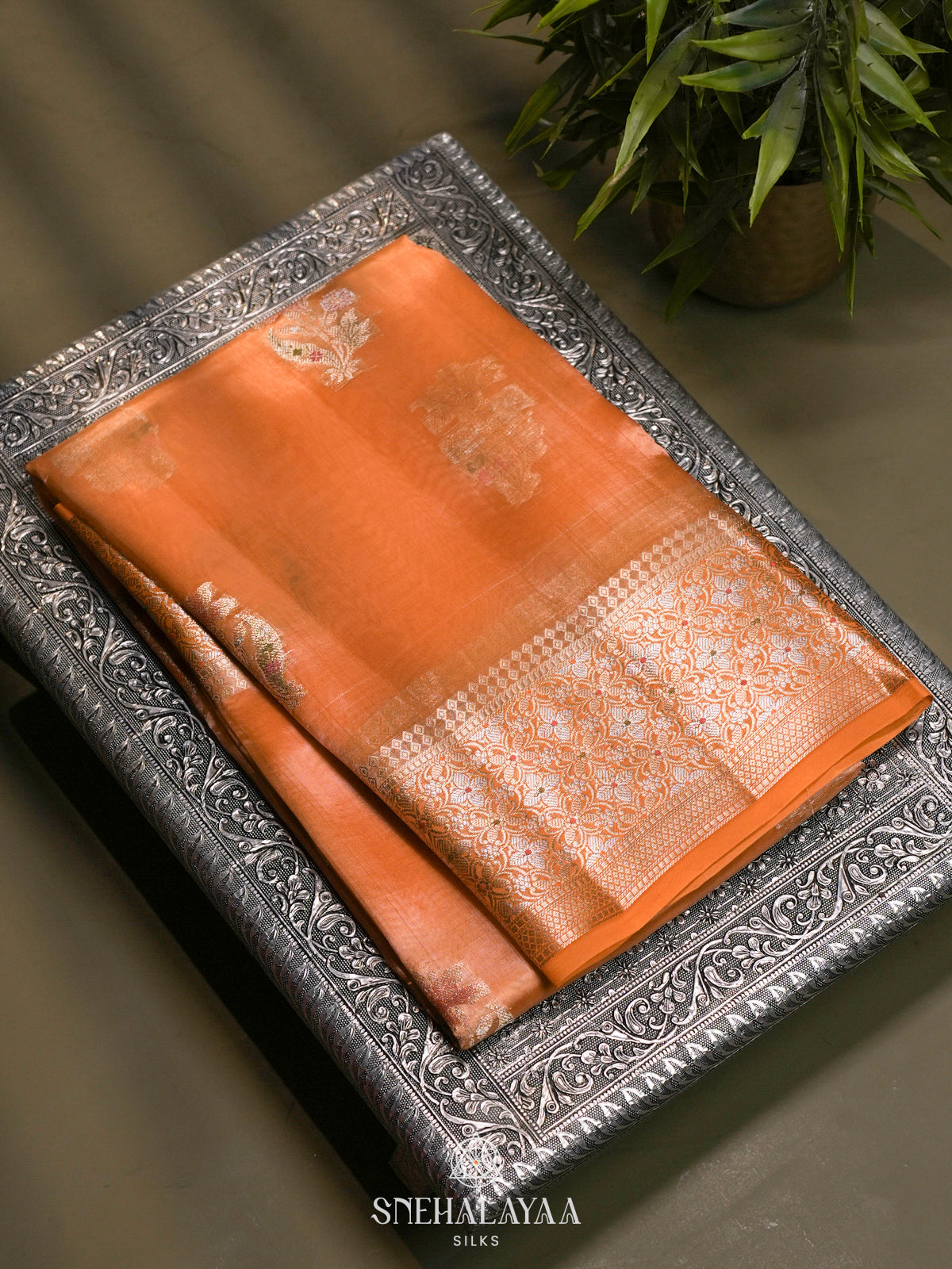 Pale Peach Banaras Raw Silk Saree