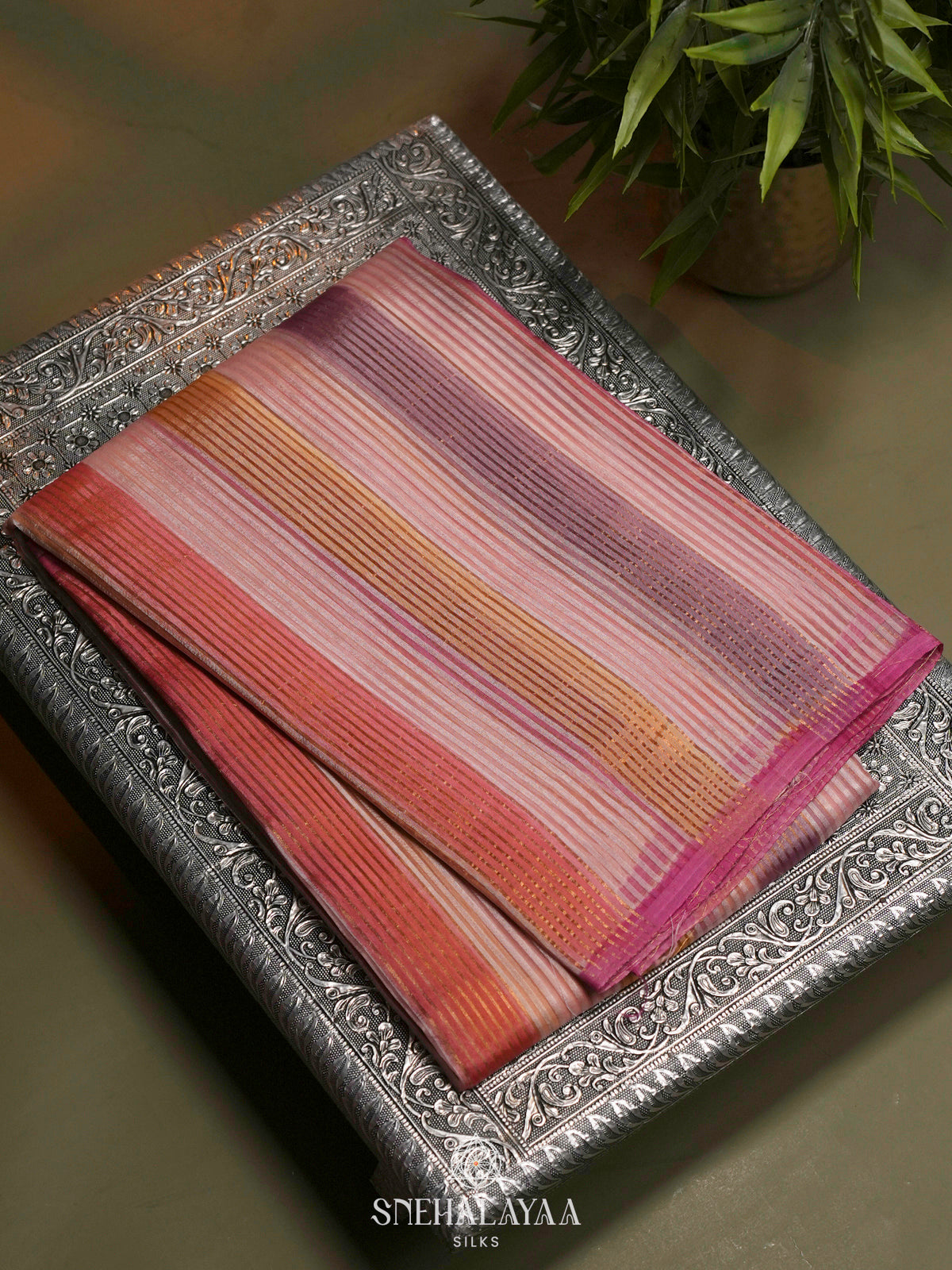 Multicolour Organza Saree