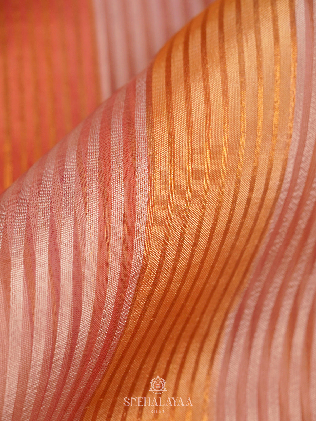 Multicolour Organza Saree
