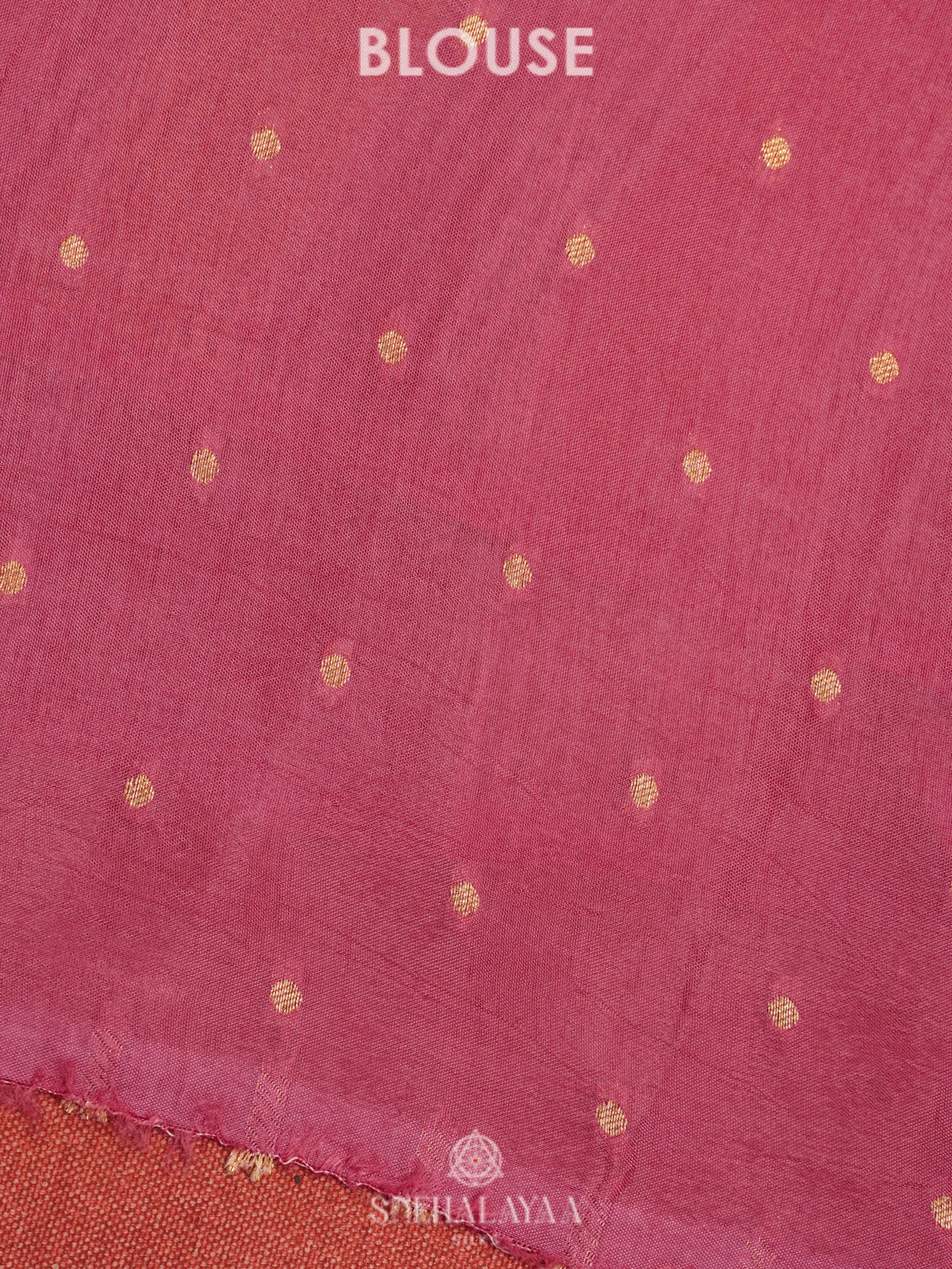 Multicolour Organza Saree