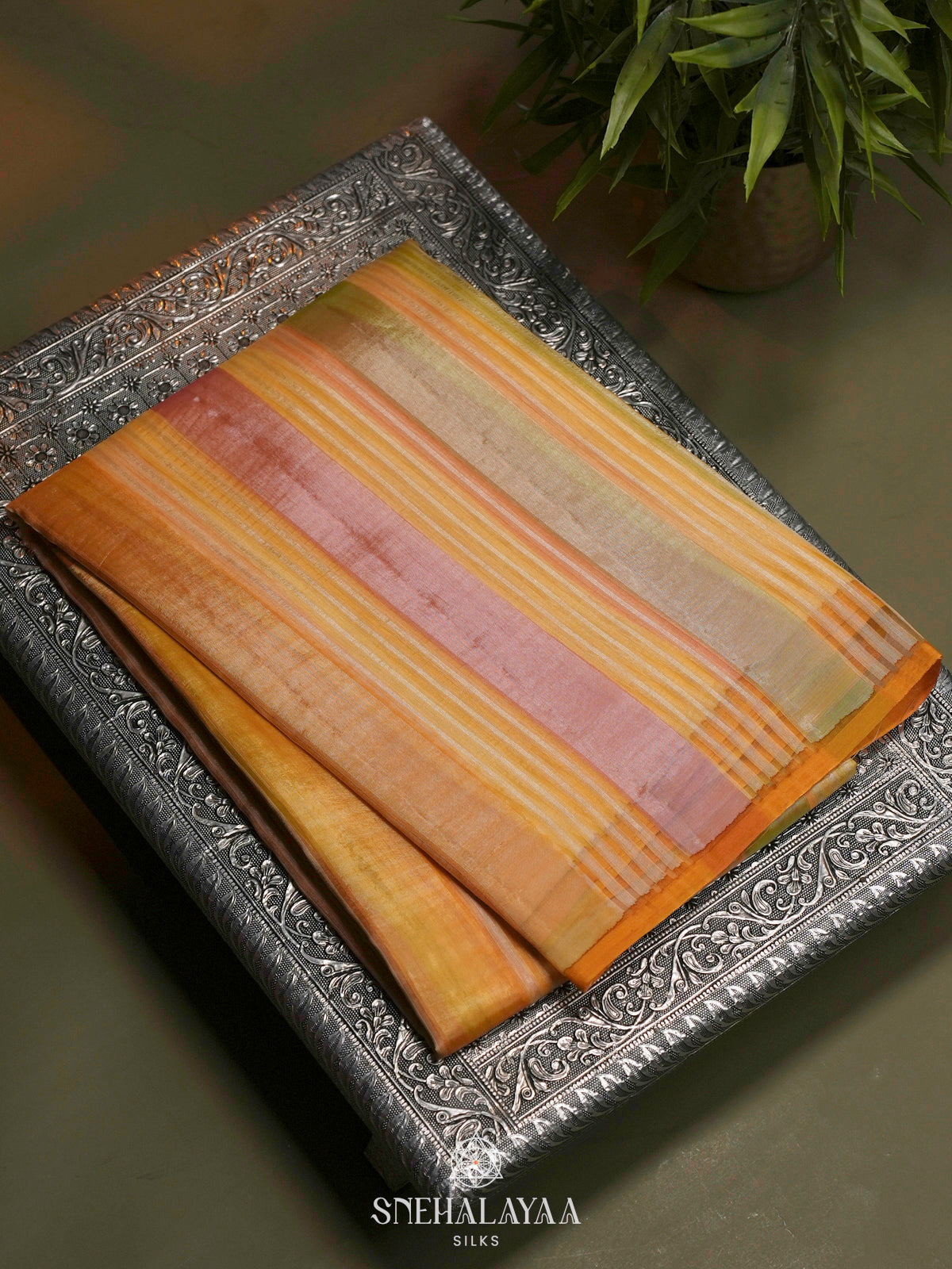Multicolour Organza Saree
