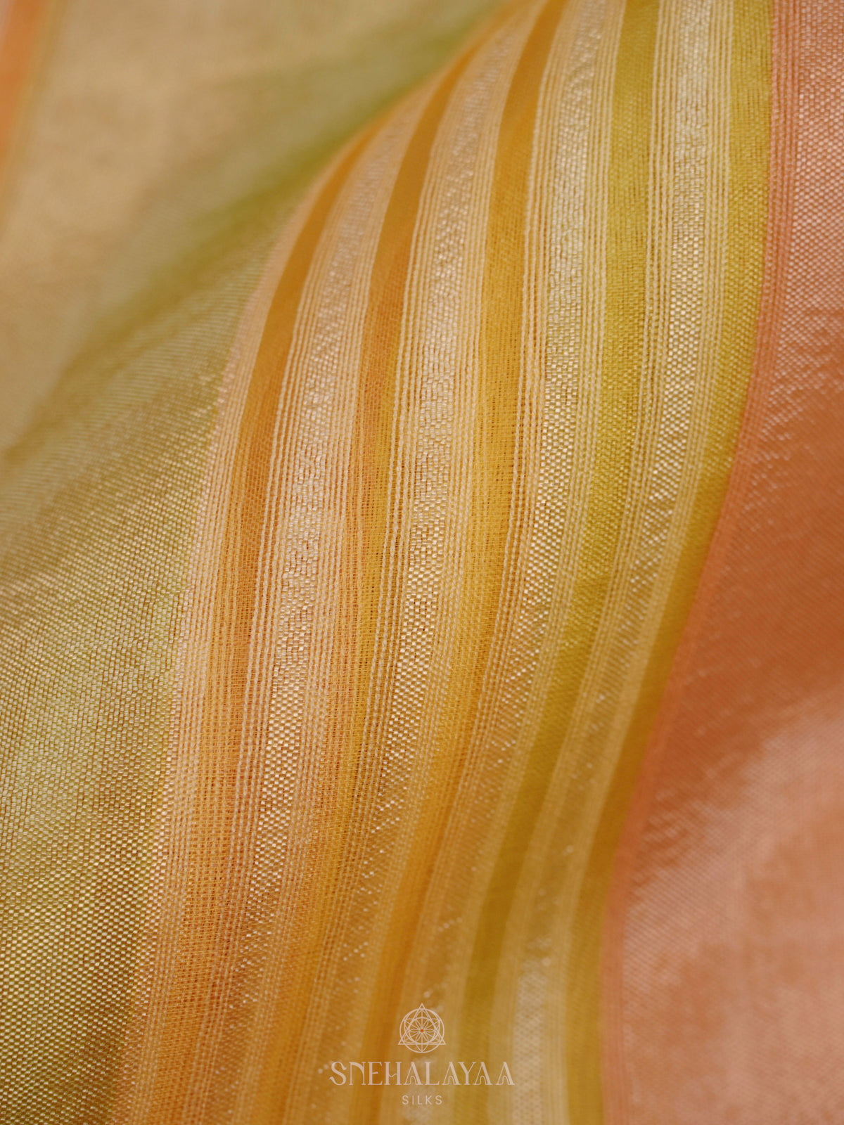 Multicolour Organza Saree