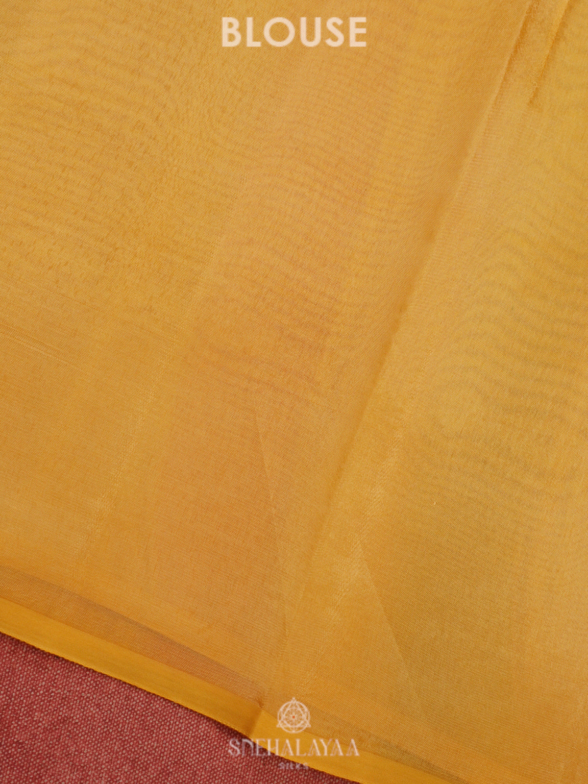 Multicolour Organza Saree