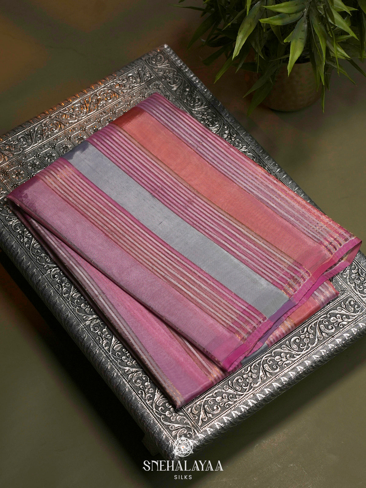 Multicolour Organza Saree