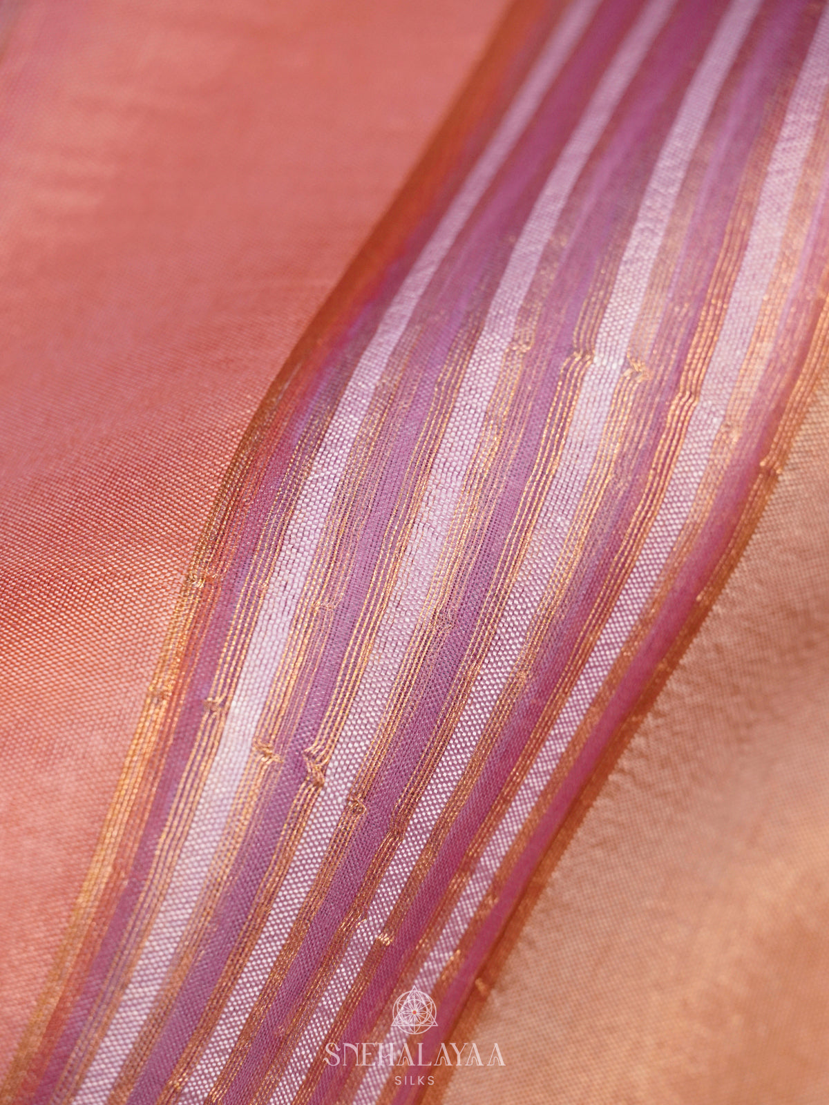 Multicolour Organza Saree