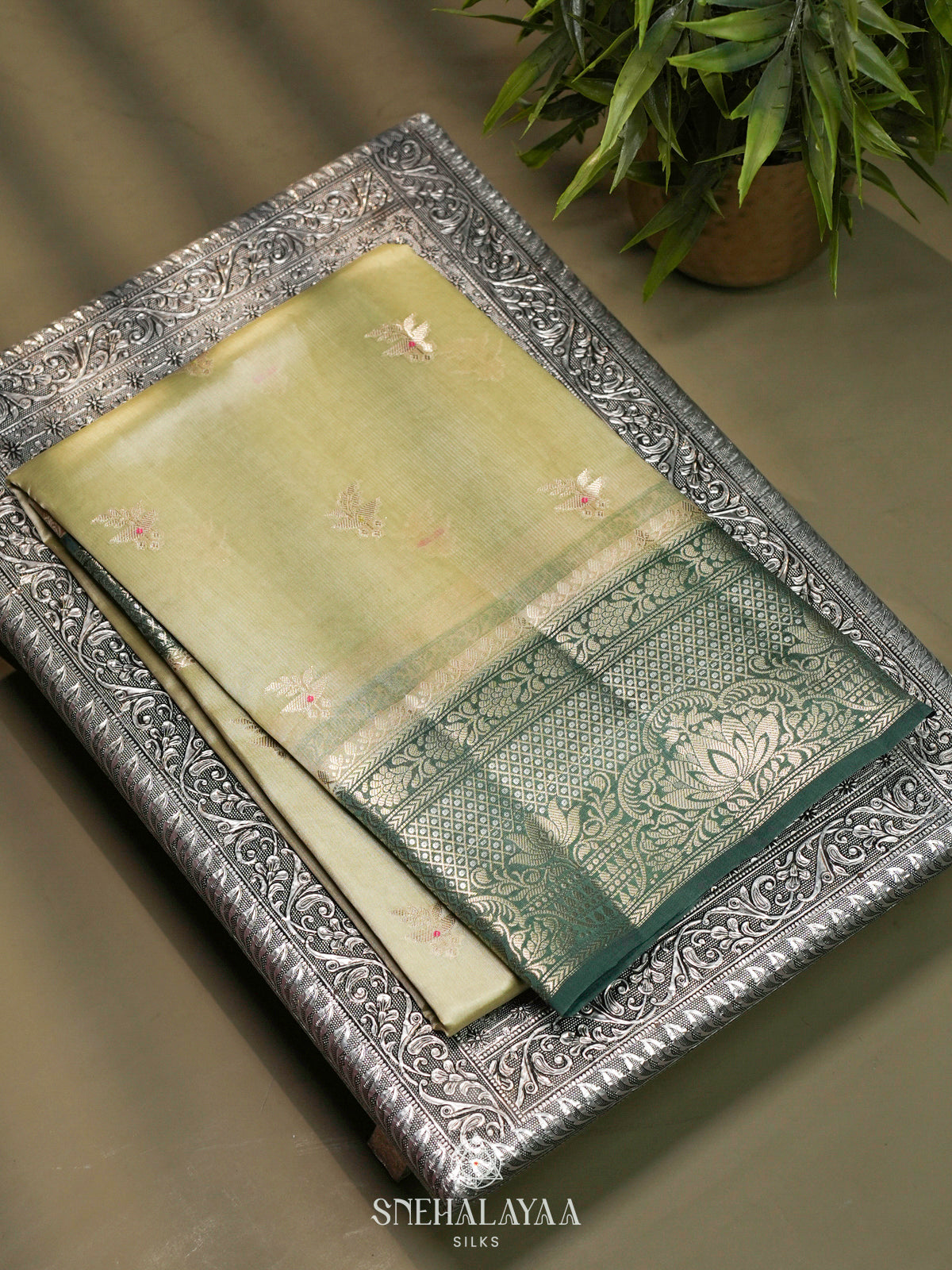 Pista Green Banaras Raw Silk Saree