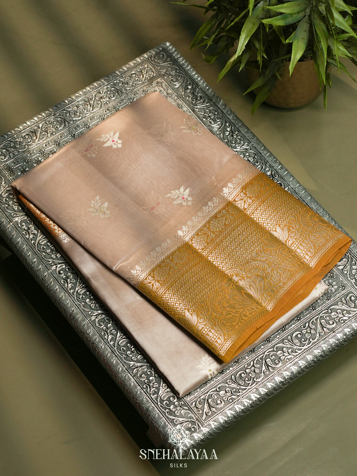Beige Banaras Raw Silk Saree