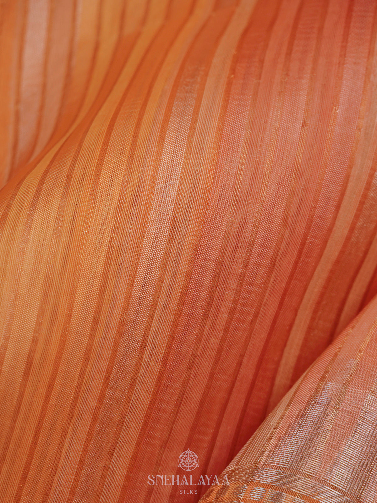 Multicolour Organza Saree