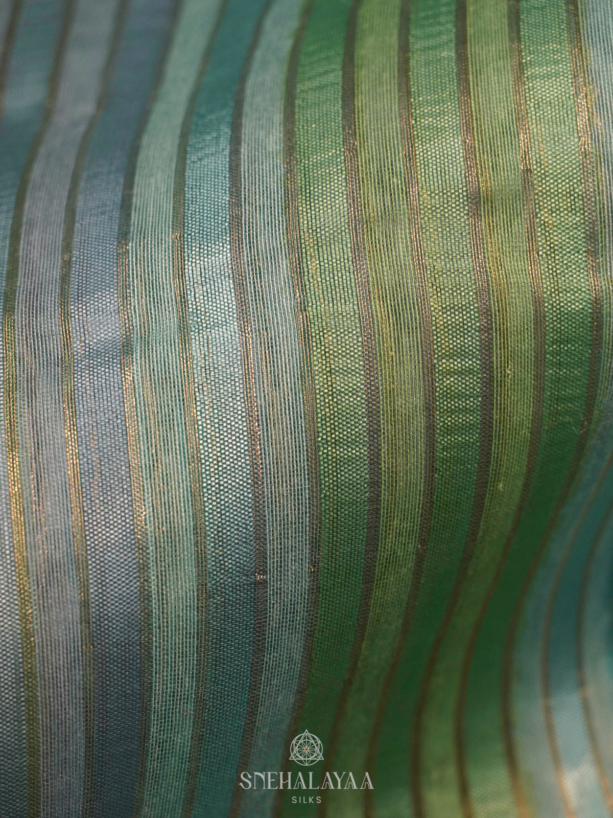 Multicolour Organza Saree