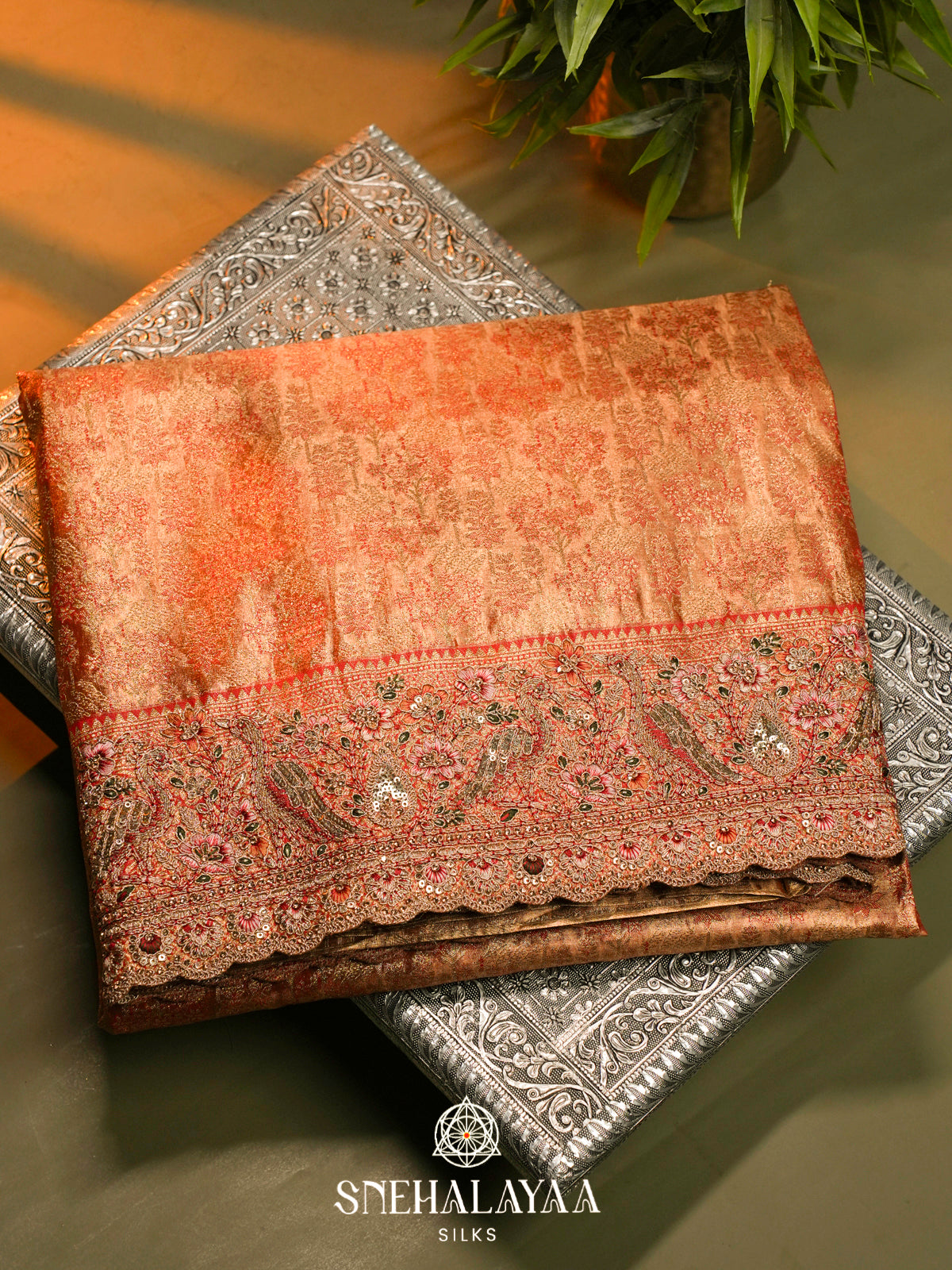 Rust Orange  Designer Saree