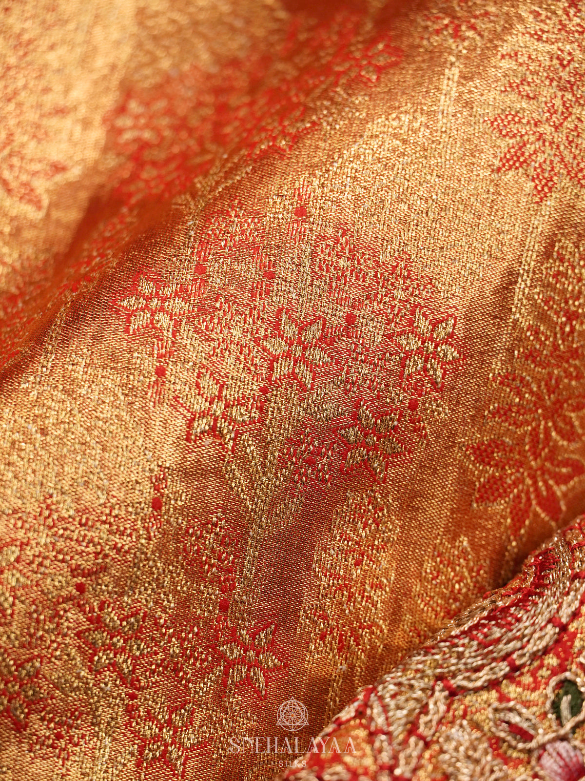 Rust Orange  Designer Saree