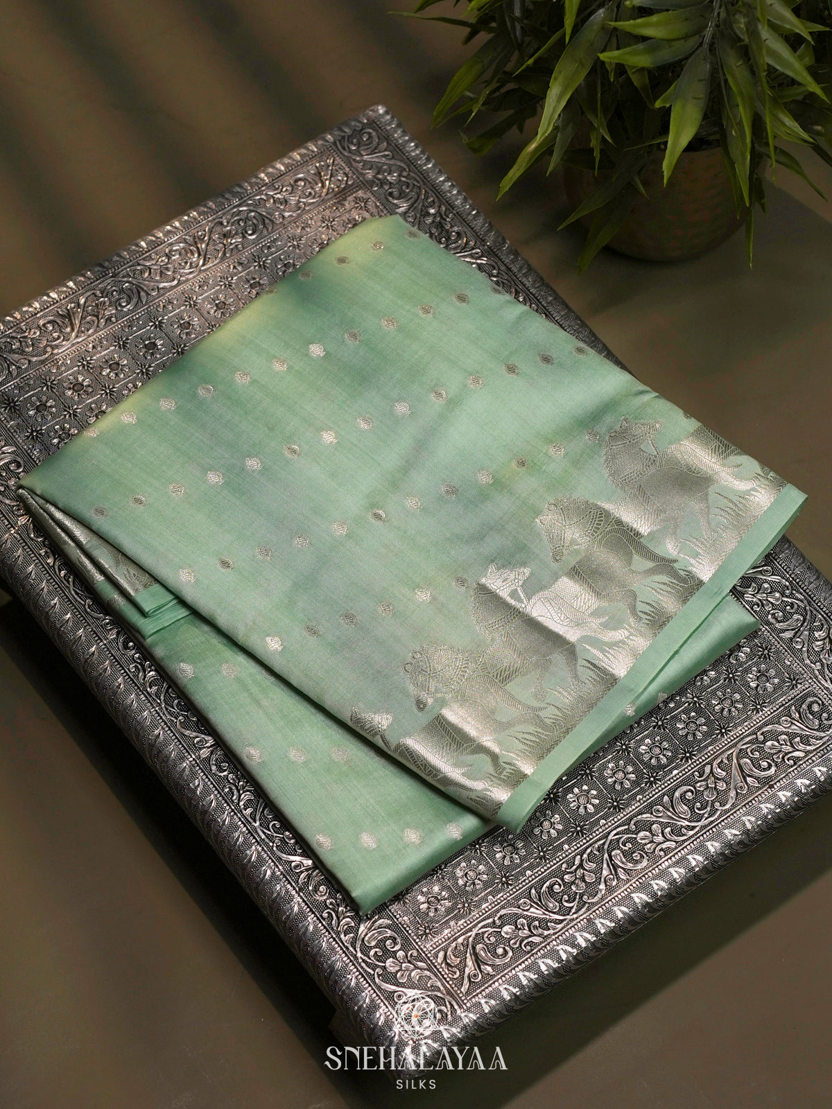 Pale Green Chiniya Silk Saree
