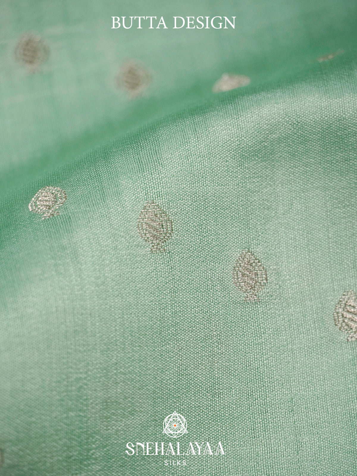 Pale Green Chiniya Silk Saree