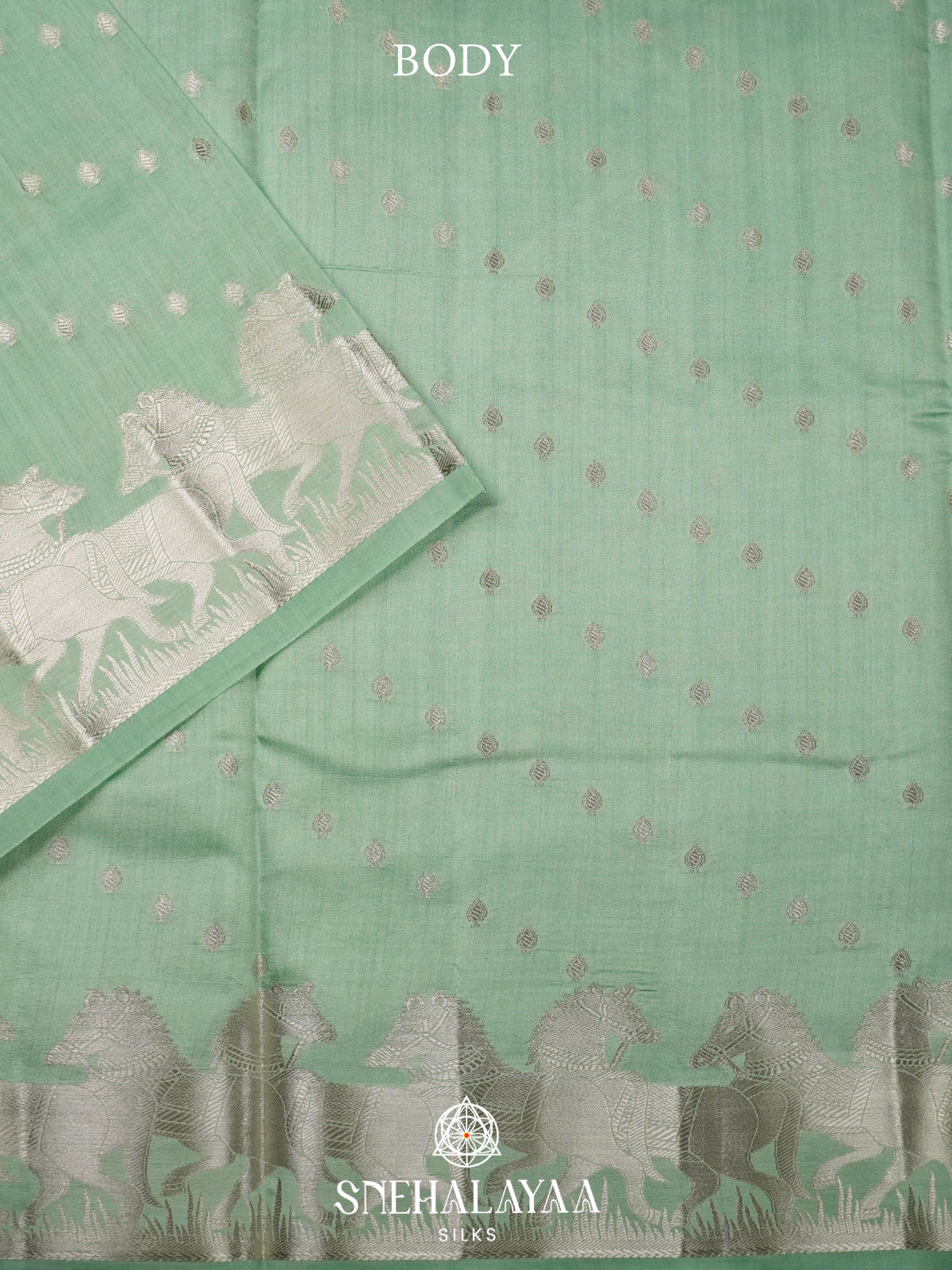 Pale Green Chiniya Silk Saree