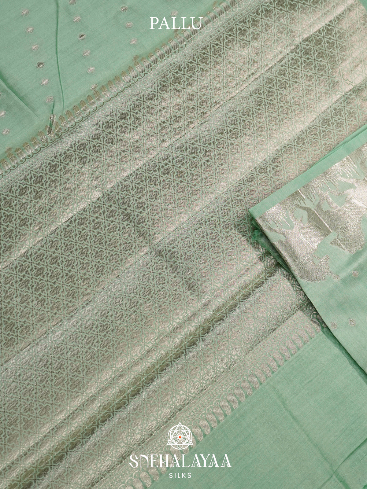 Pale Green Chiniya Silk Saree