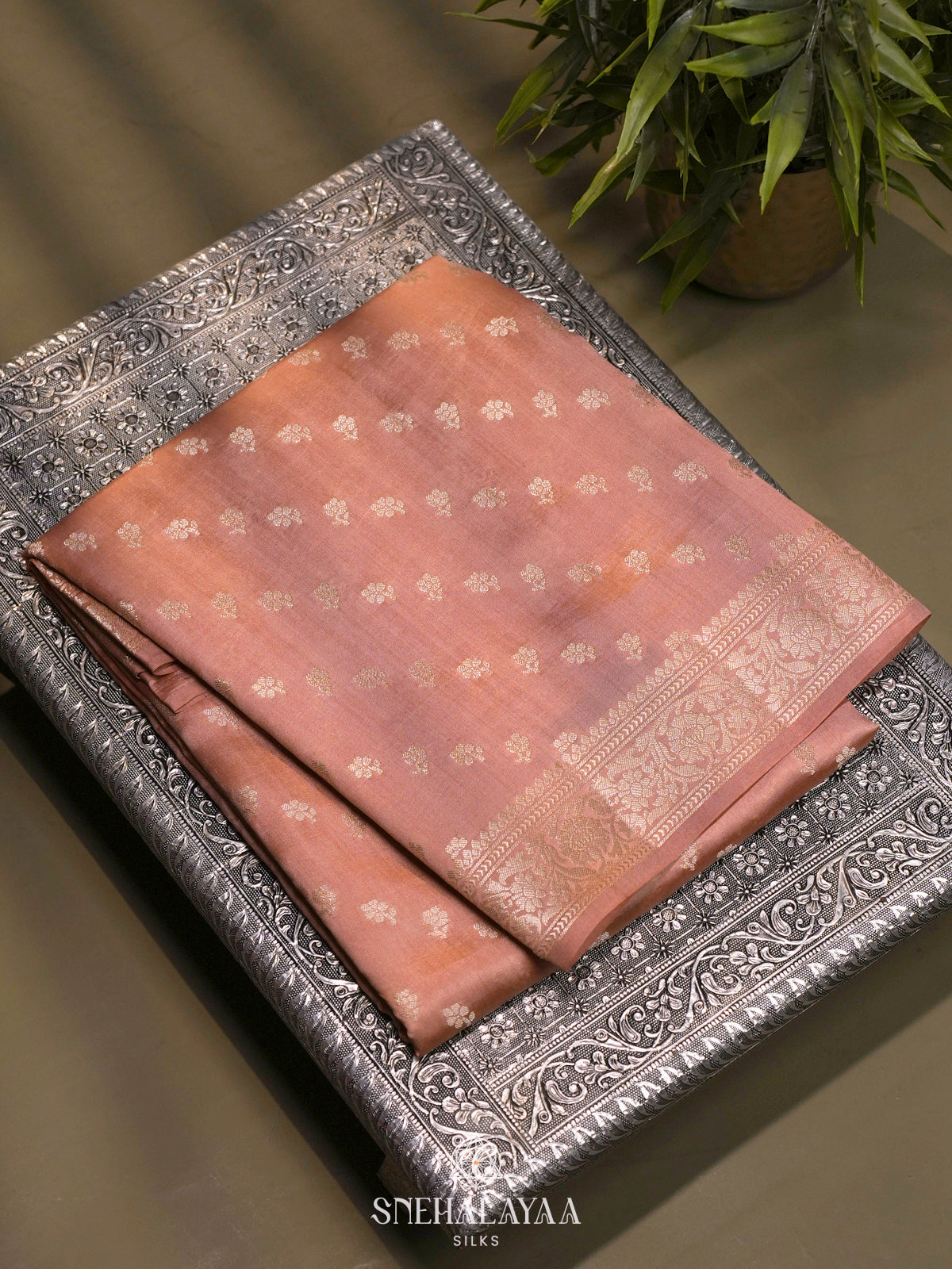 Pale Peach Chiniya Silk Saree
