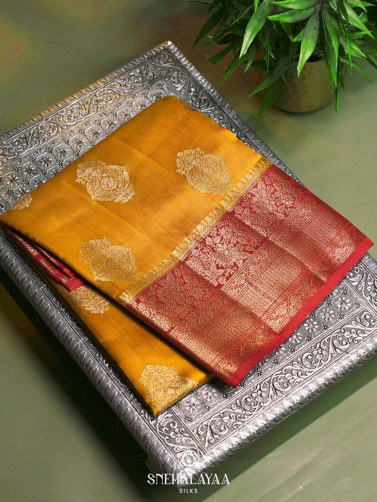 Mango Yellow Chiniya Silk Saree