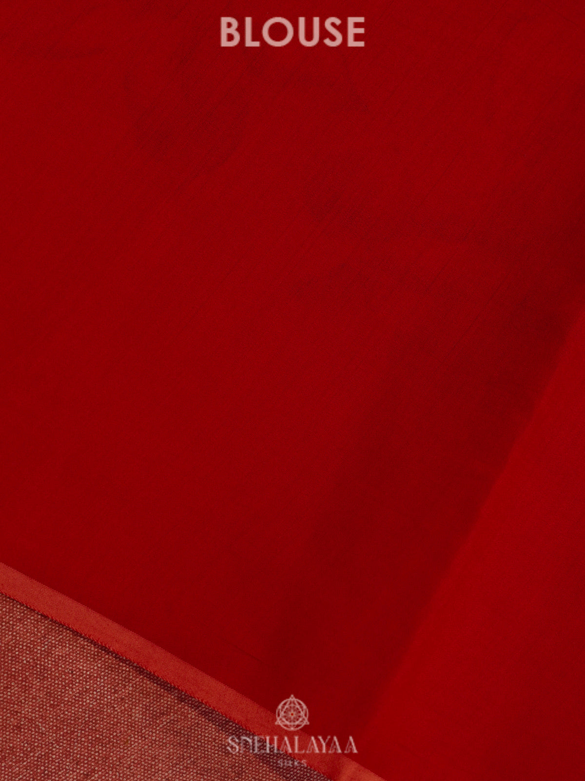 Red Organza Saree