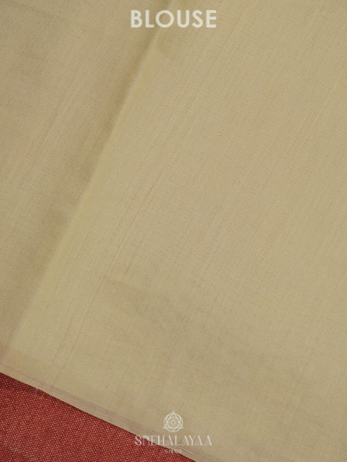 Pale Yellow Organza Saree