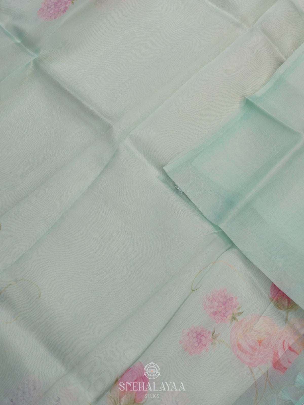 Pale Blue Organza Saree