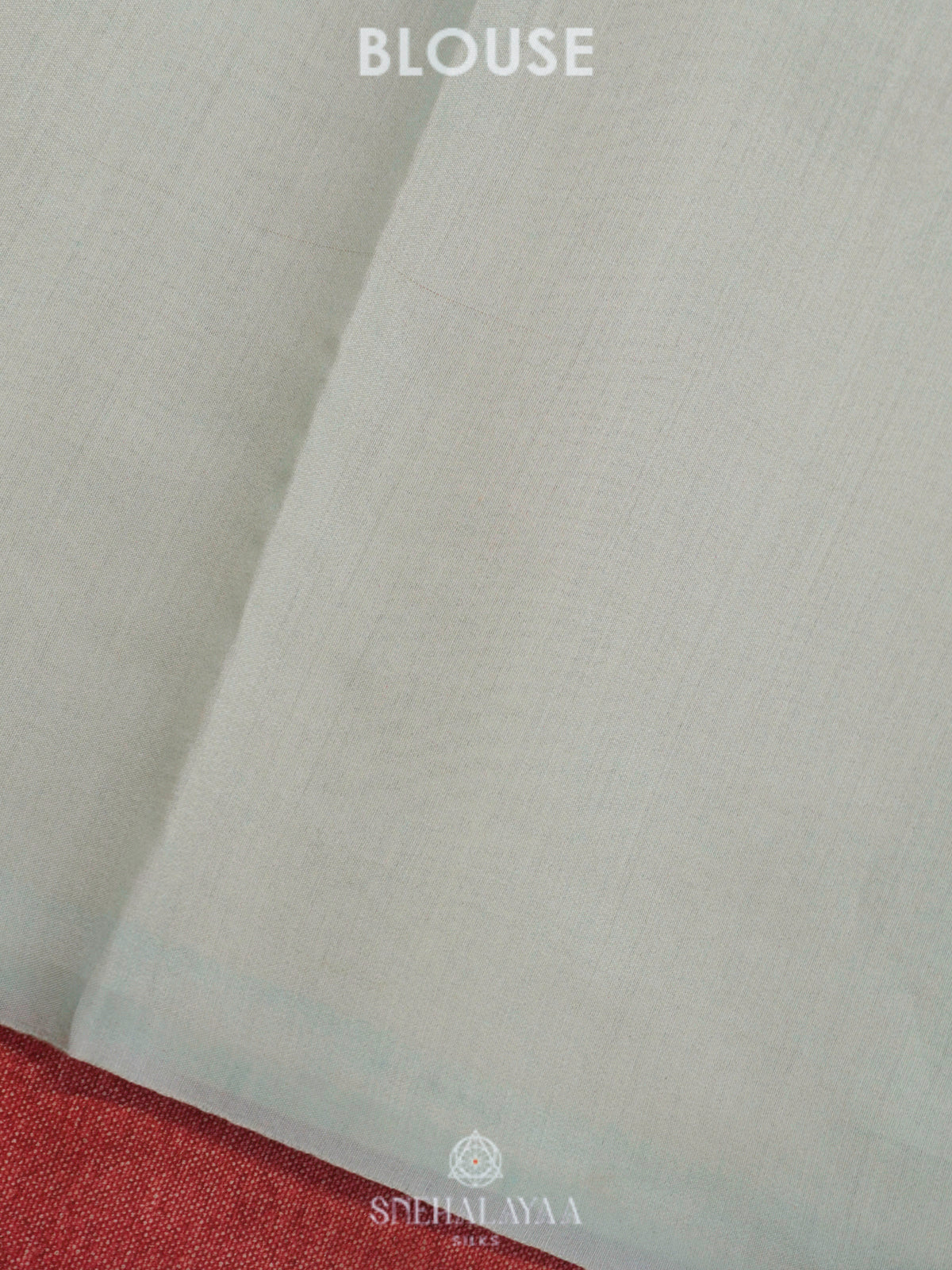 Pale Blue Organza Saree