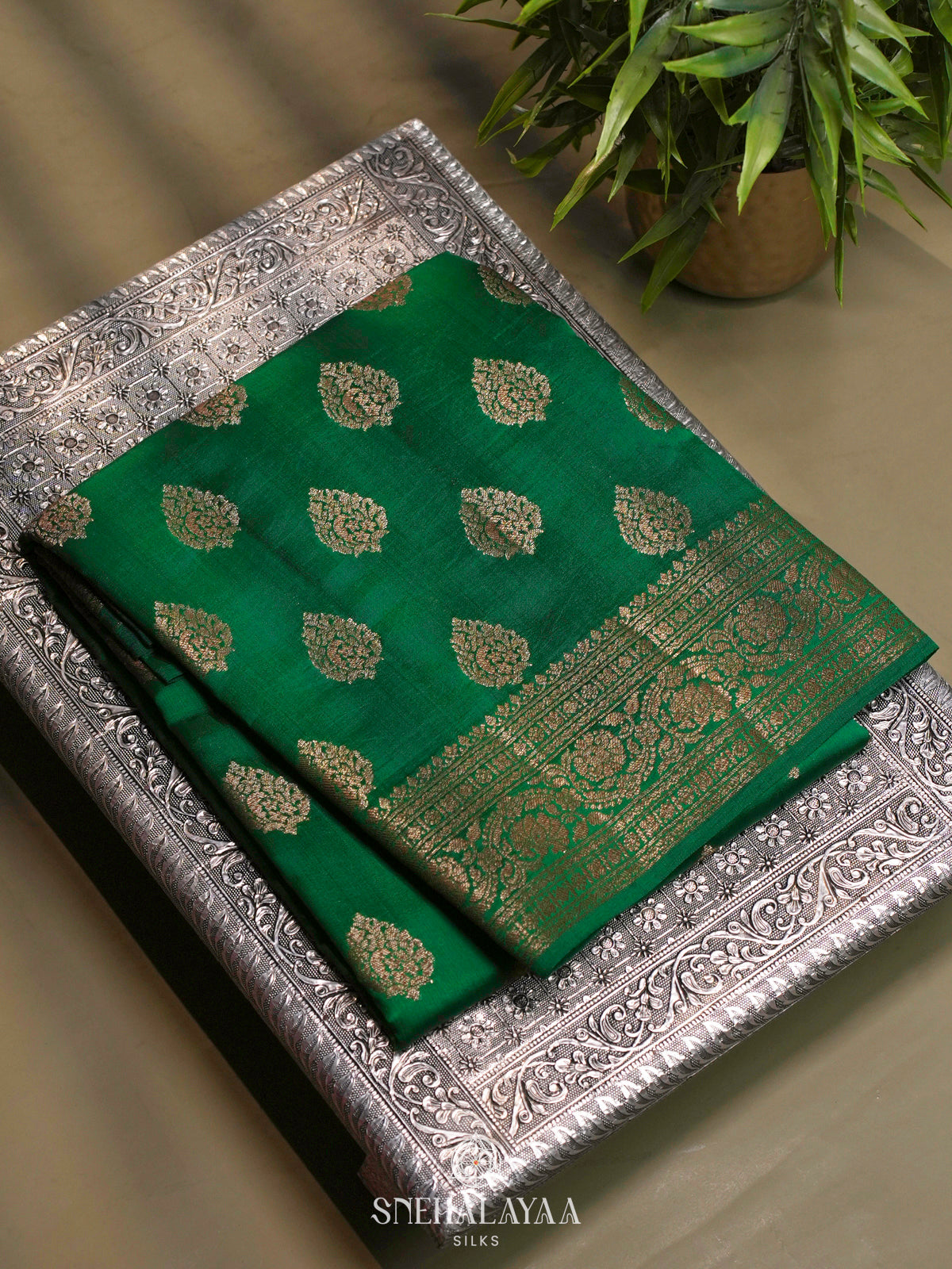 Forest Green Chiniya Silk Saree