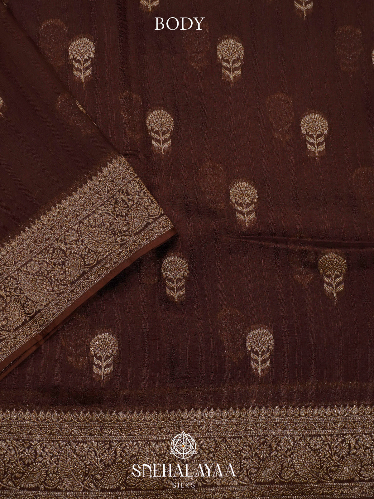 Brown Banaras Raw Silk Saree