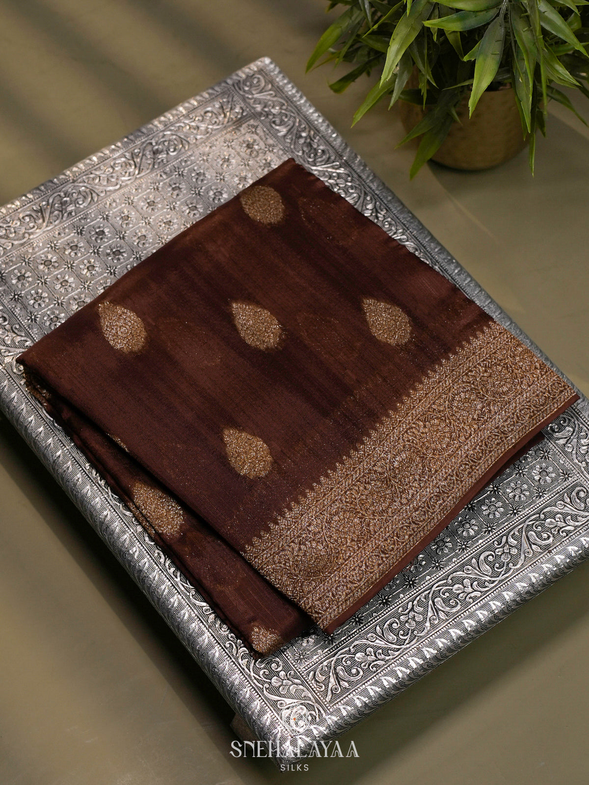 Brown Banaras Raw Silk Saree
