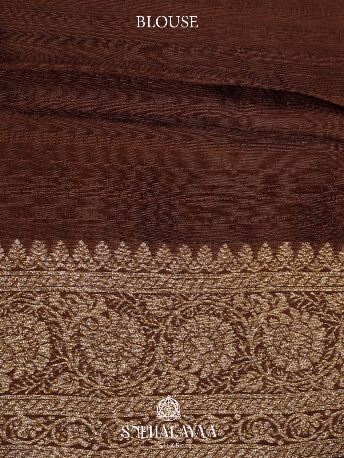 Brown Banaras Raw Silk Saree