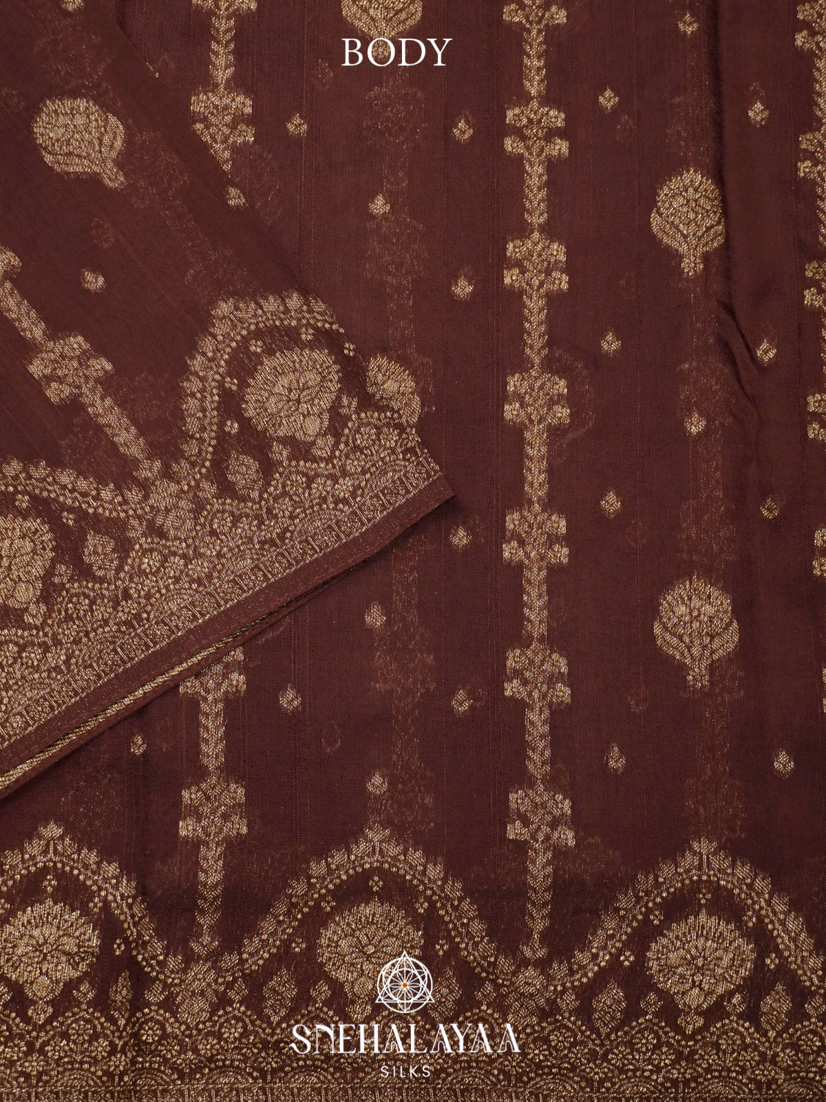 Brown Banaras Raw Silk Saree