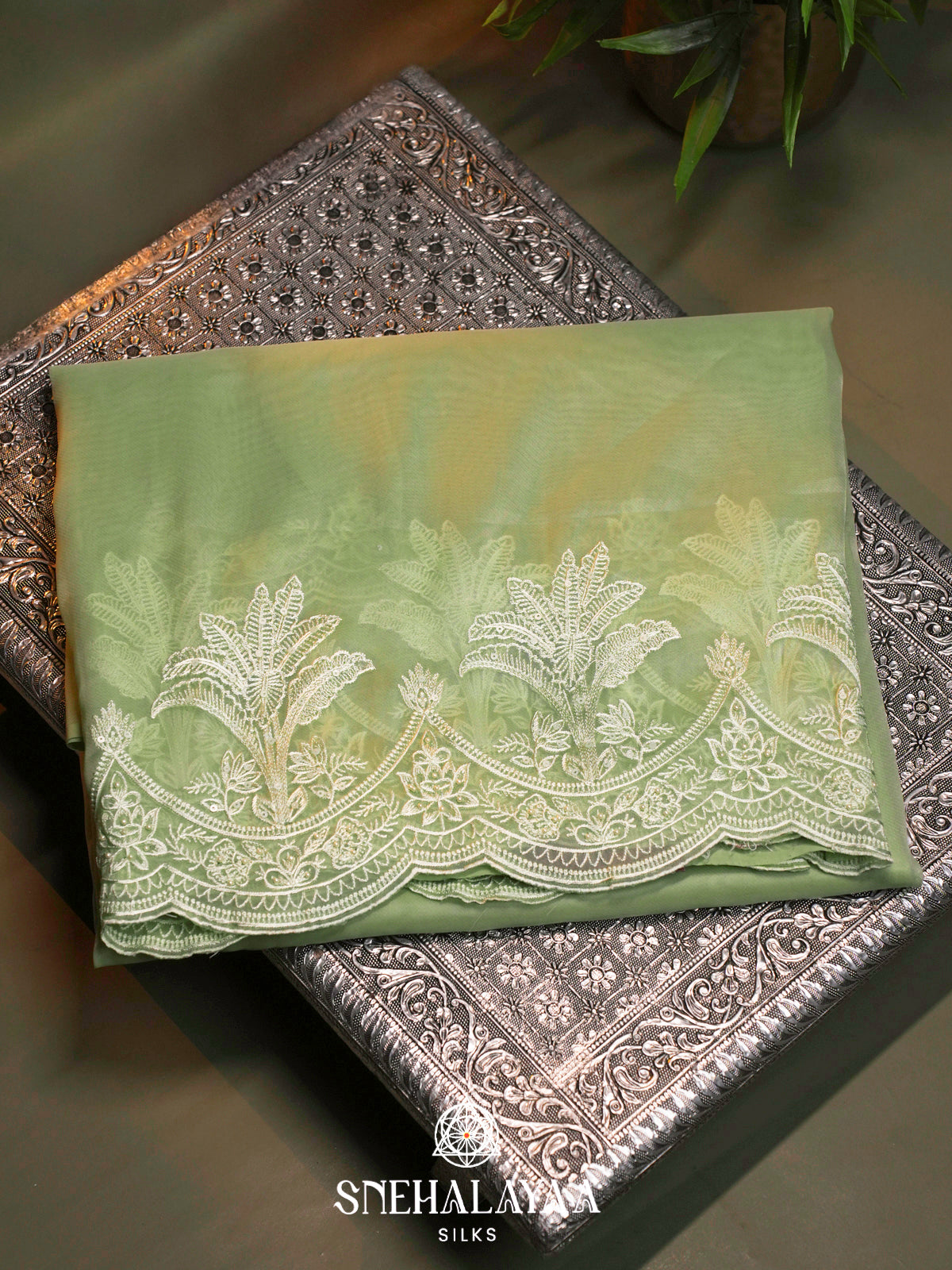Pista Green  Designer Saree