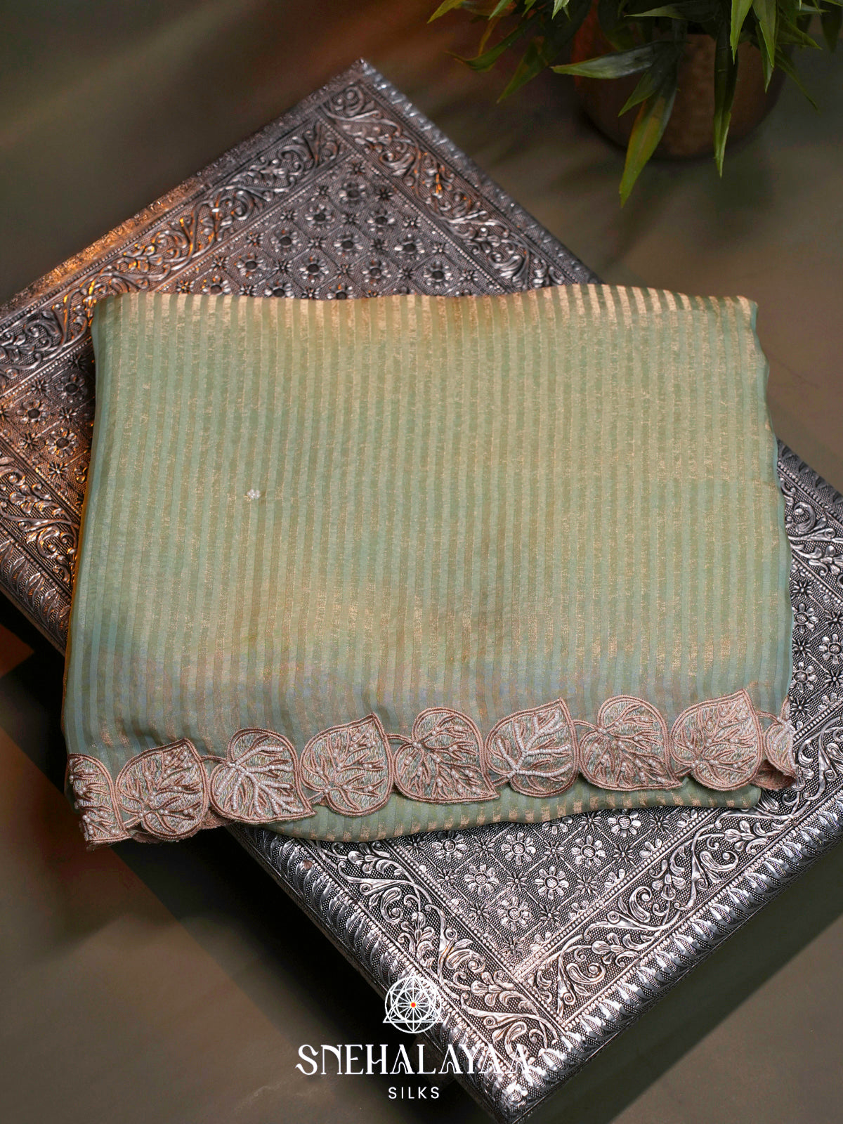Pale Green  Designer Saree