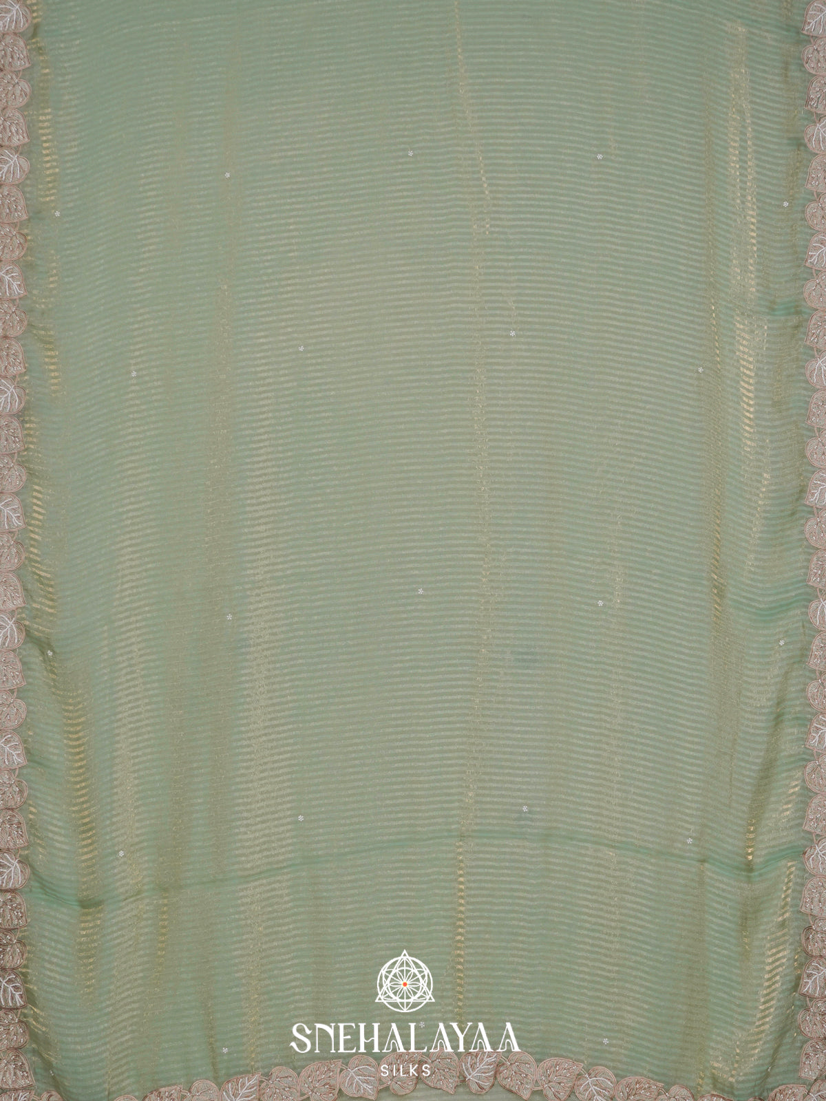 Pale Green  Designer Saree