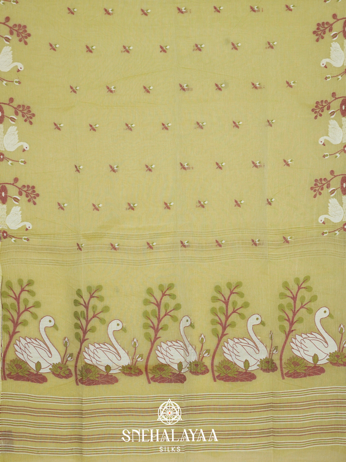 Pista Green  Bengal Cotton Saree
