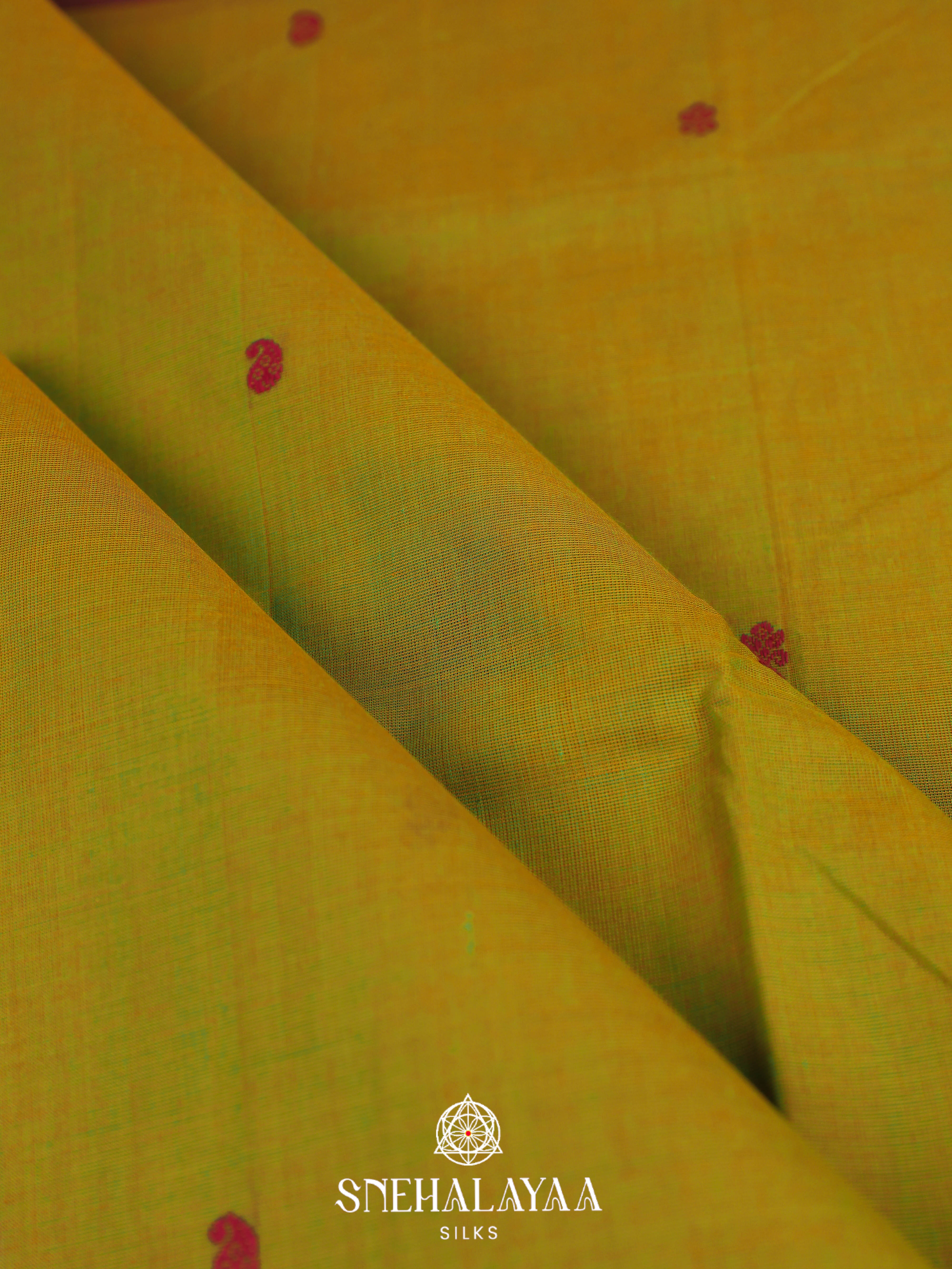 Olive Green Kanchi Cotton Saree
