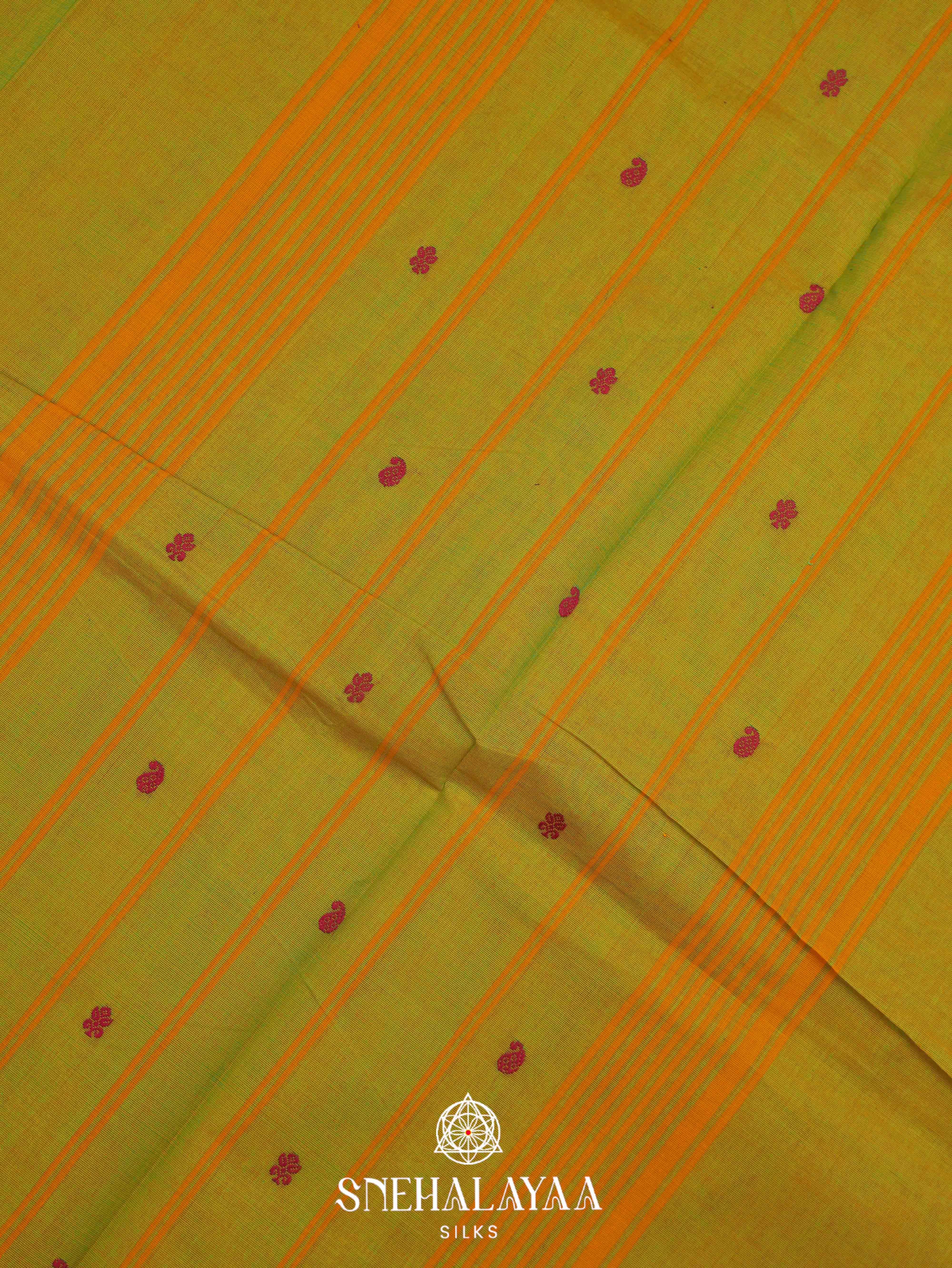 Olive Green Kanchi Cotton Saree