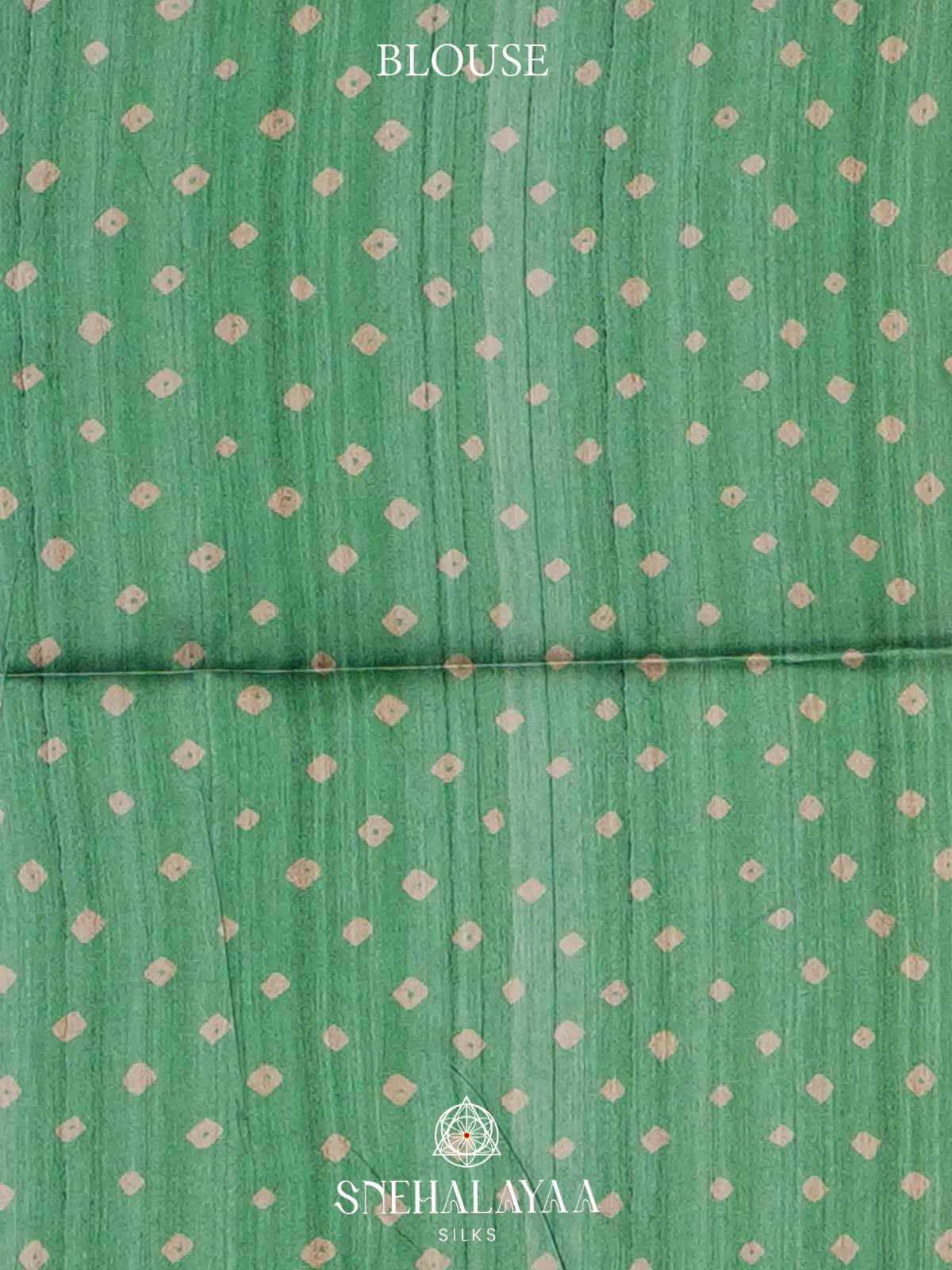Jade Green  Madhubani Printed Saree