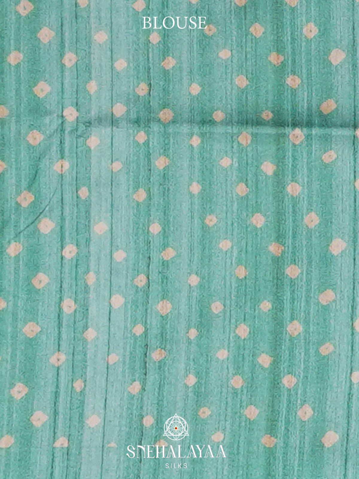 Mint Green  Madhubani Printed Saree