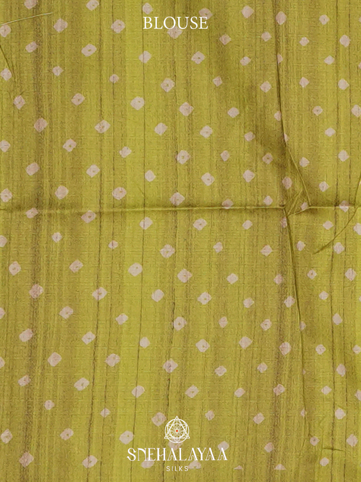 Chartreuse Green  Madhubani Printed Saree