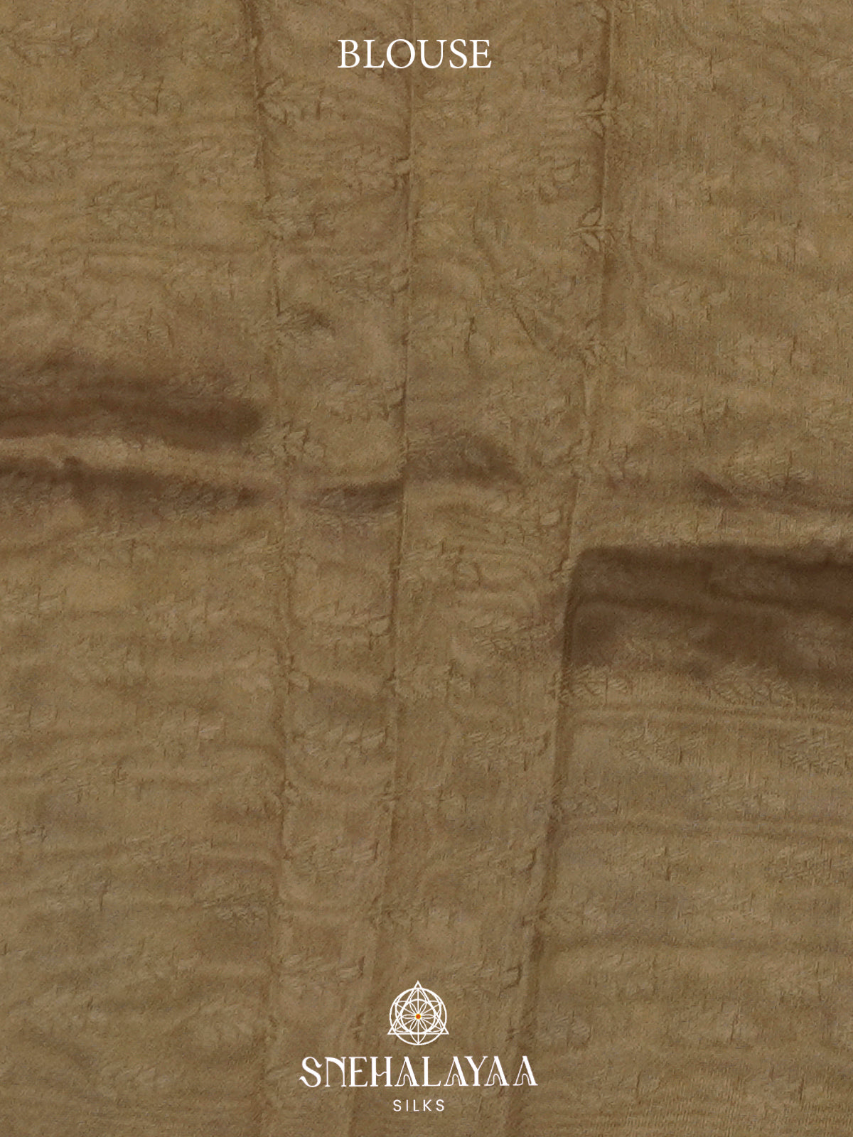 Pale Gold Floral Tissue Saree