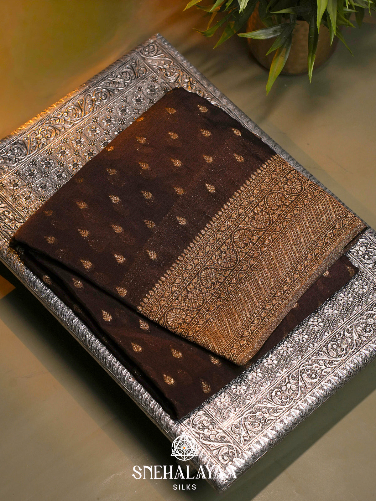 Brown Banaras Saree