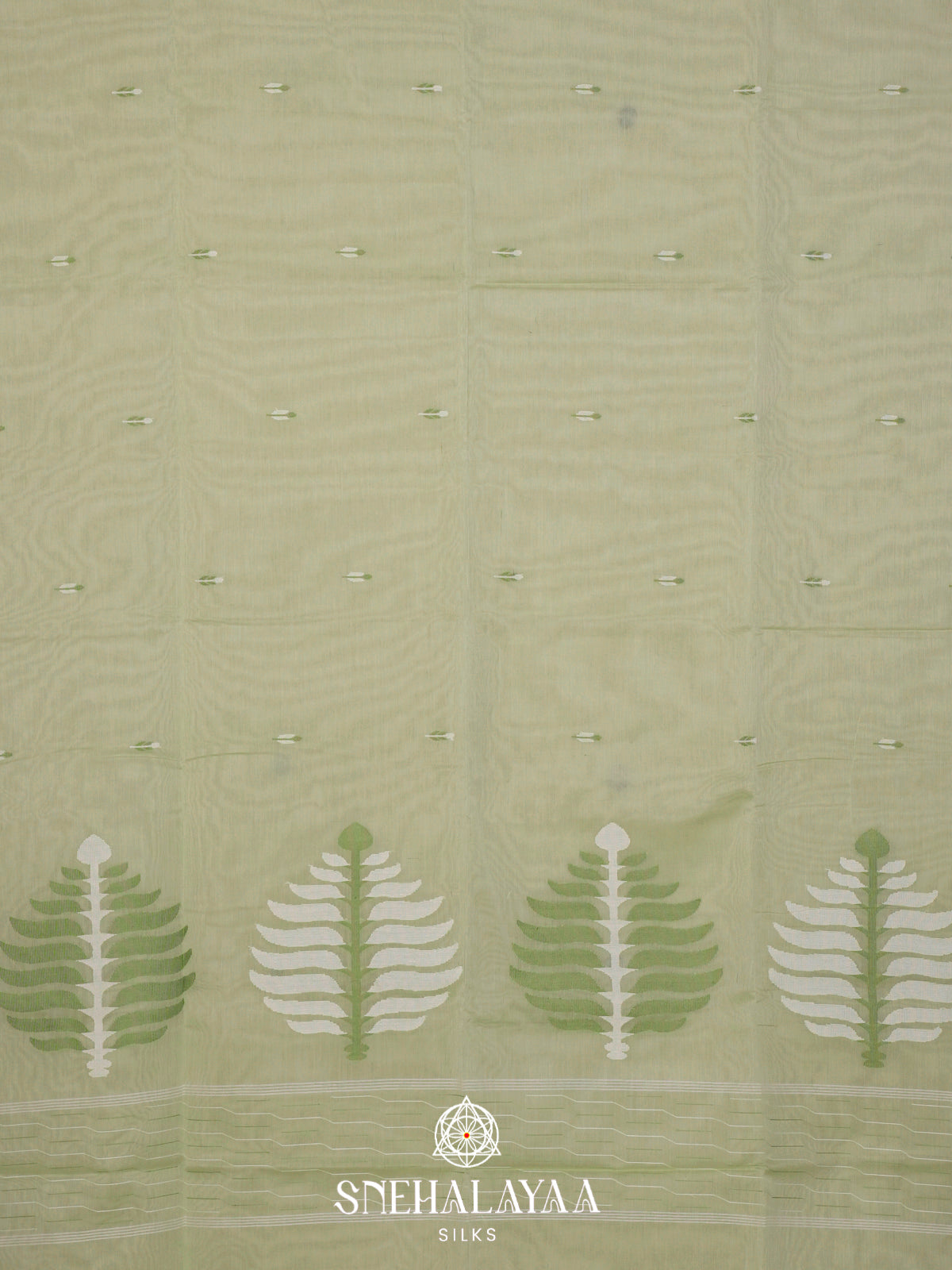 Sage Green Bengal Cotton Saree