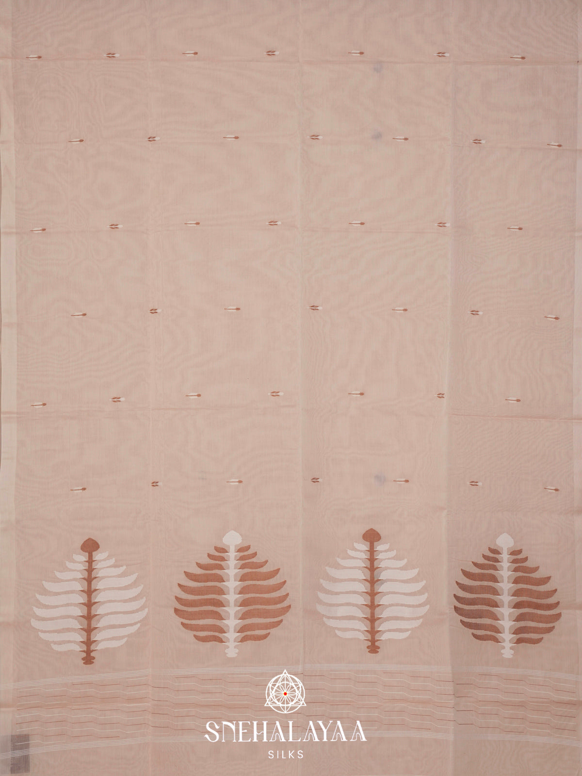 Beige Bengal Cotton Saree